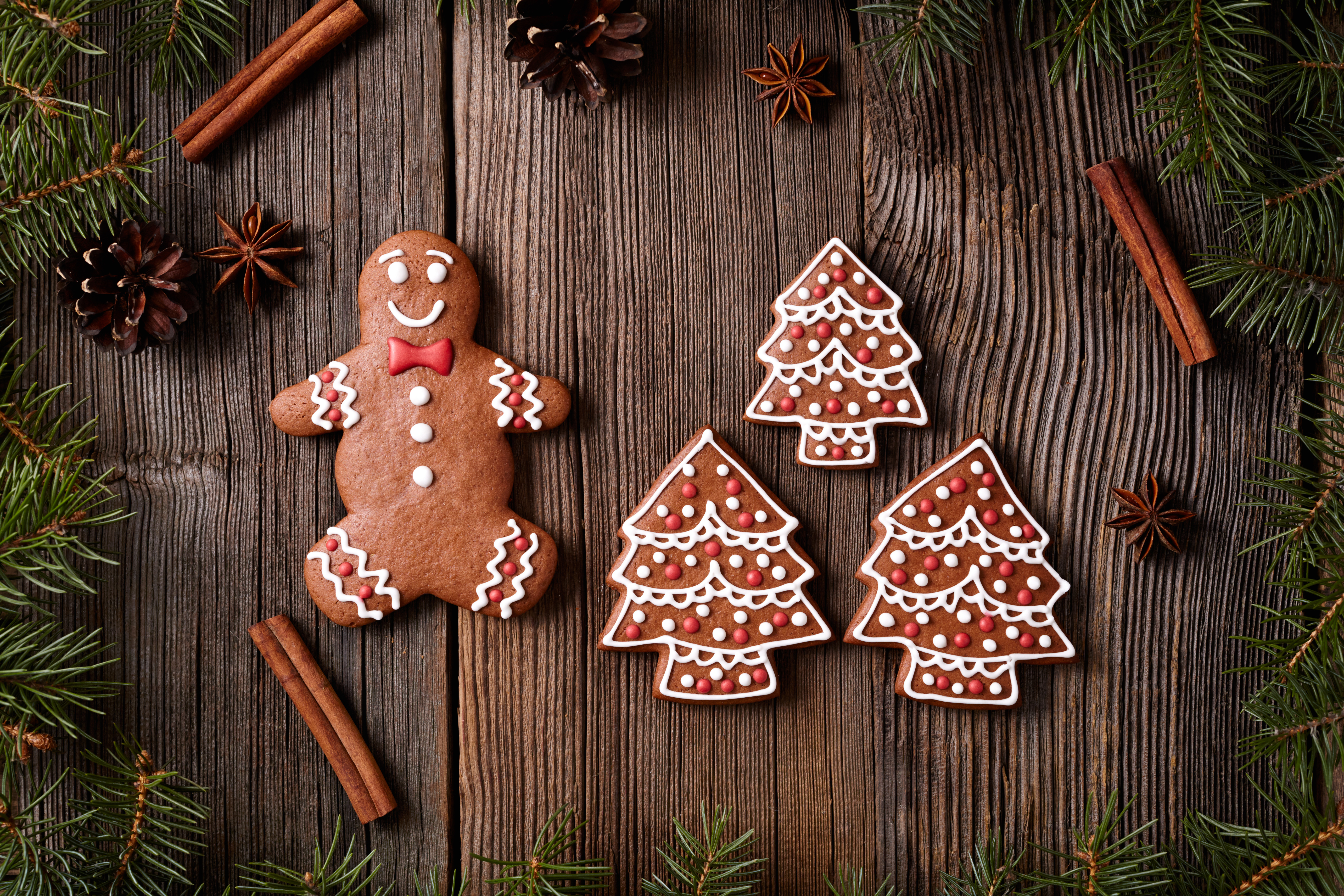 Free download wallpaper Food, Cinnamon, Christmas, Gingerbread, Cookie on your PC desktop