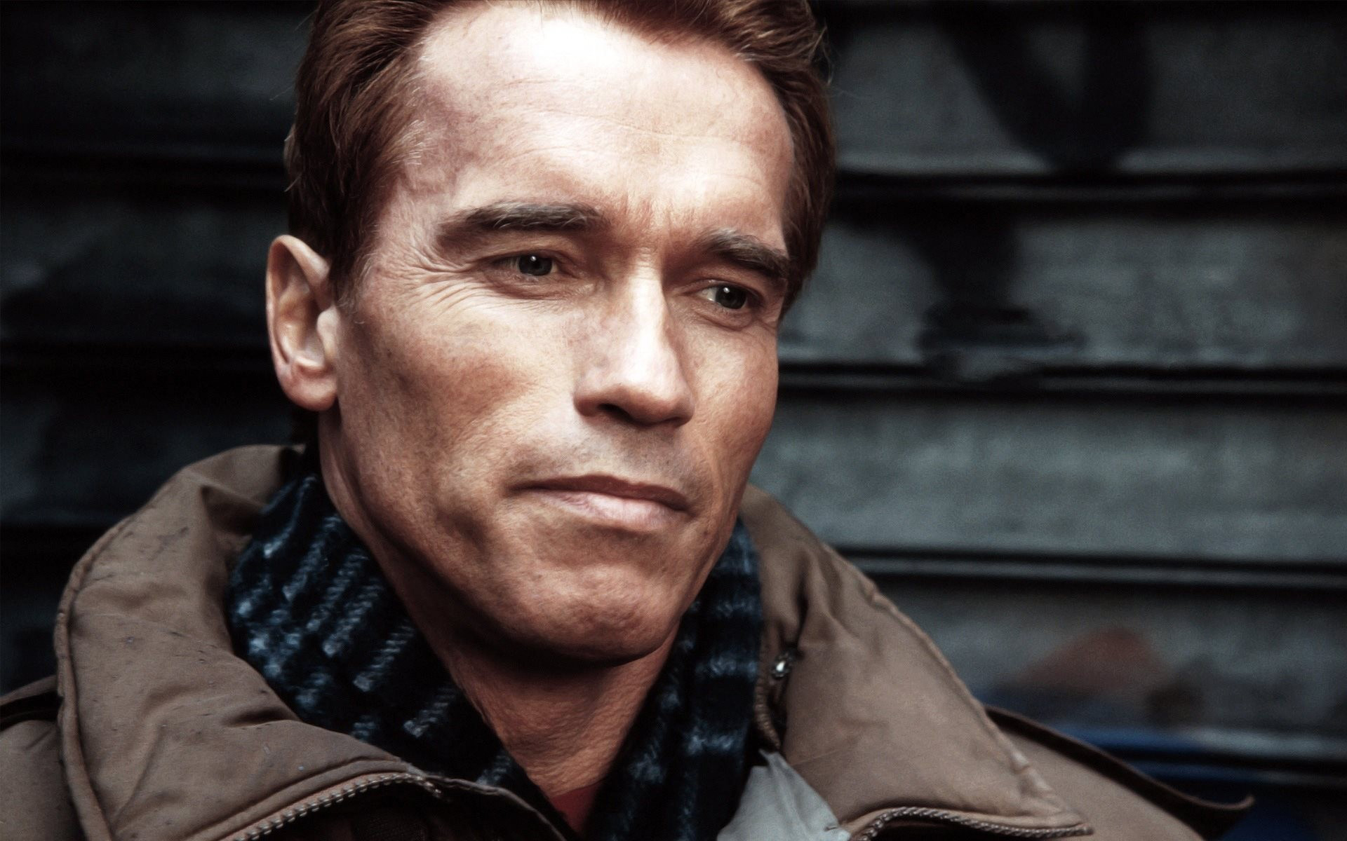Laden Sie das Arnold Schwarzenegger, Berühmtheiten-Bild kostenlos auf Ihren PC-Desktop herunter