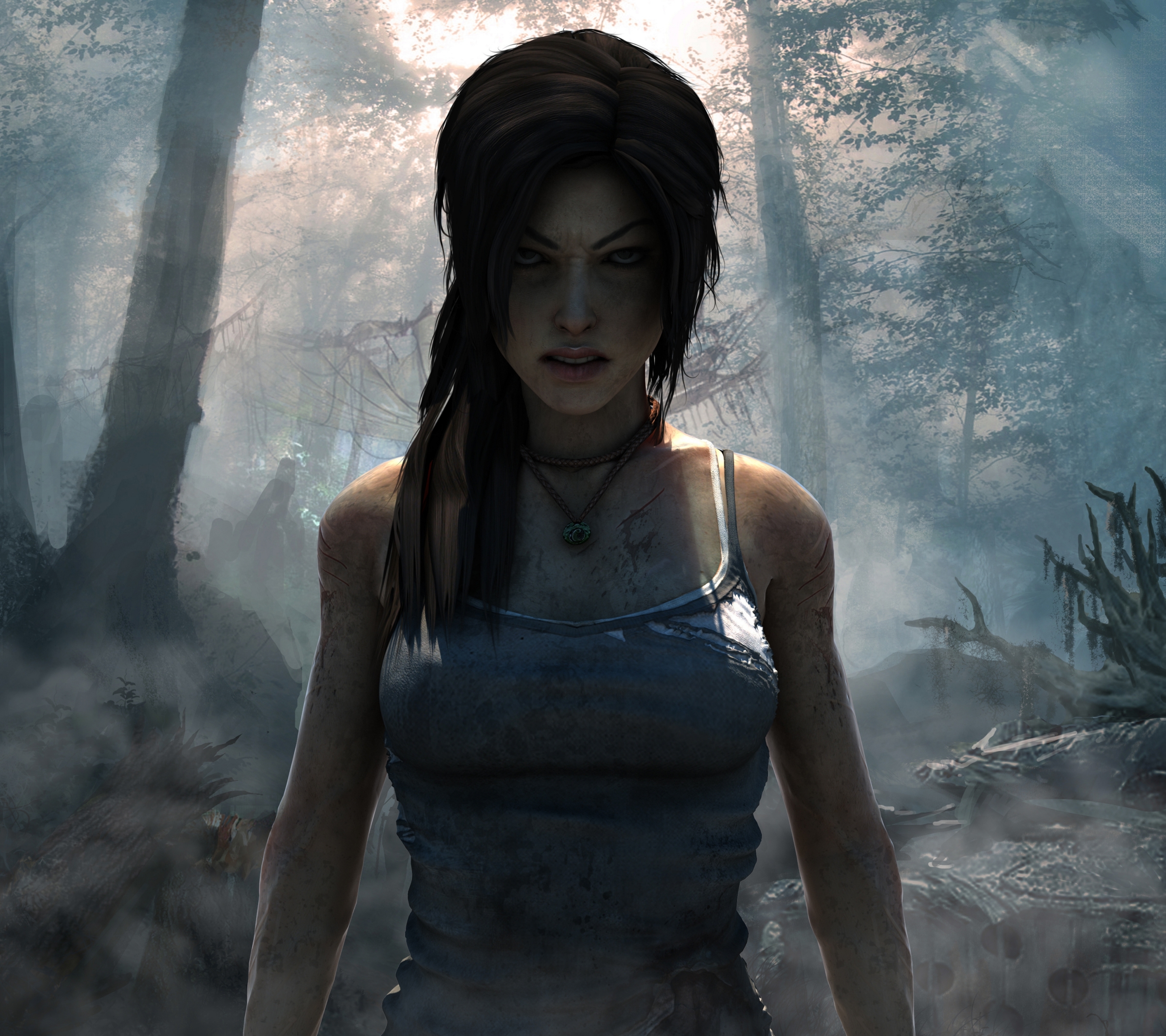 Download mobile wallpaper Tomb Raider, Video Game, Tomb Raider (2013) for free.