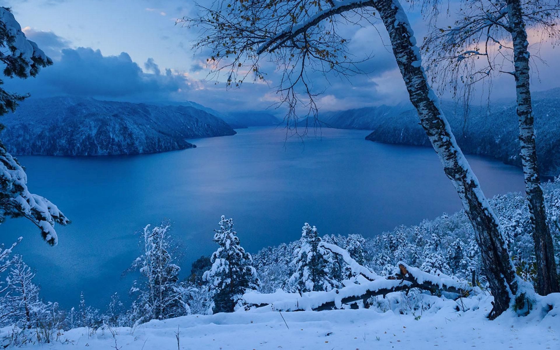 Free download wallpaper Winter, Snow, Lake, Forest, Tree, Earth on your PC desktop