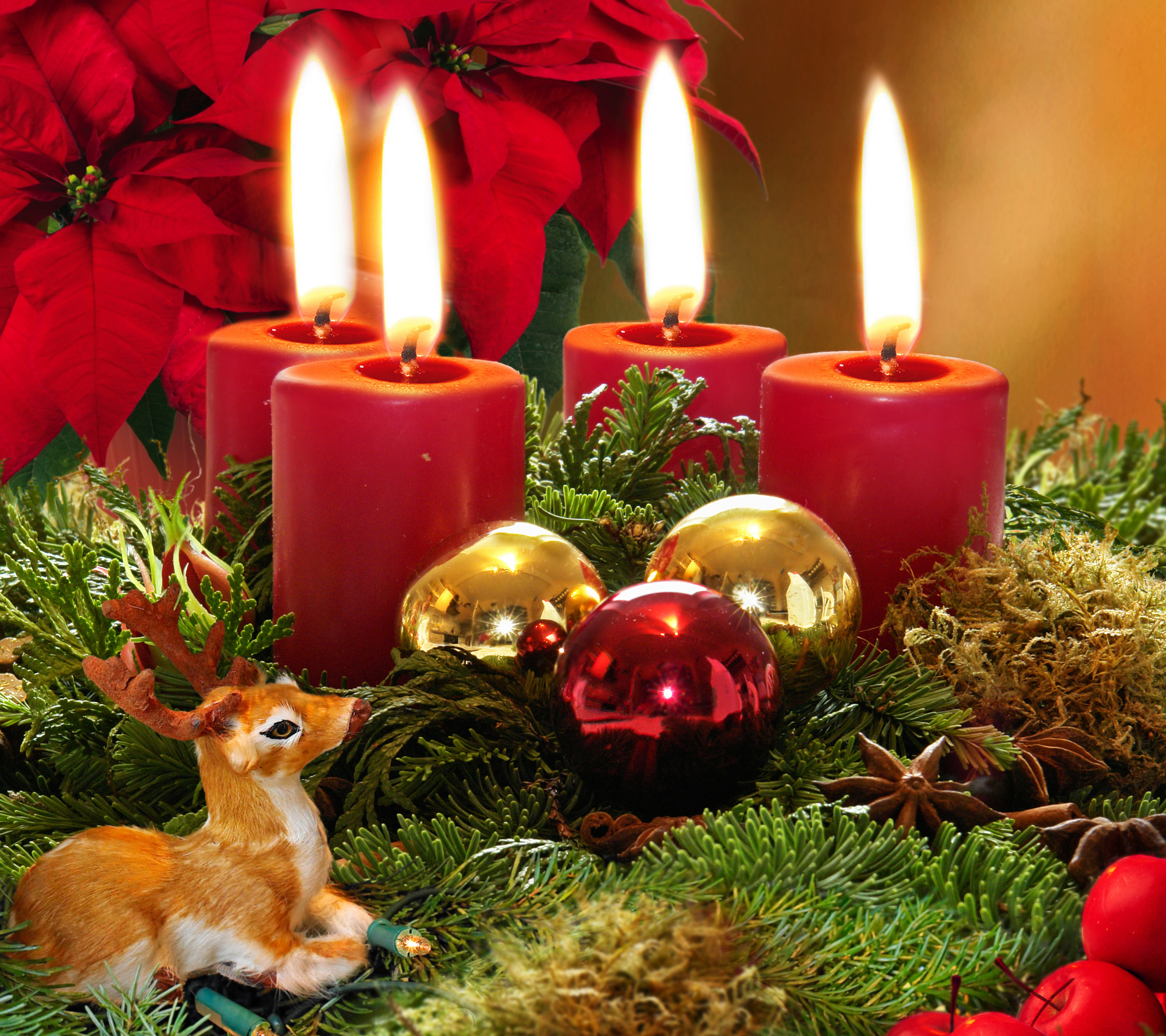 christmas, holiday, candle, christmas ornaments, deer, poinsettia