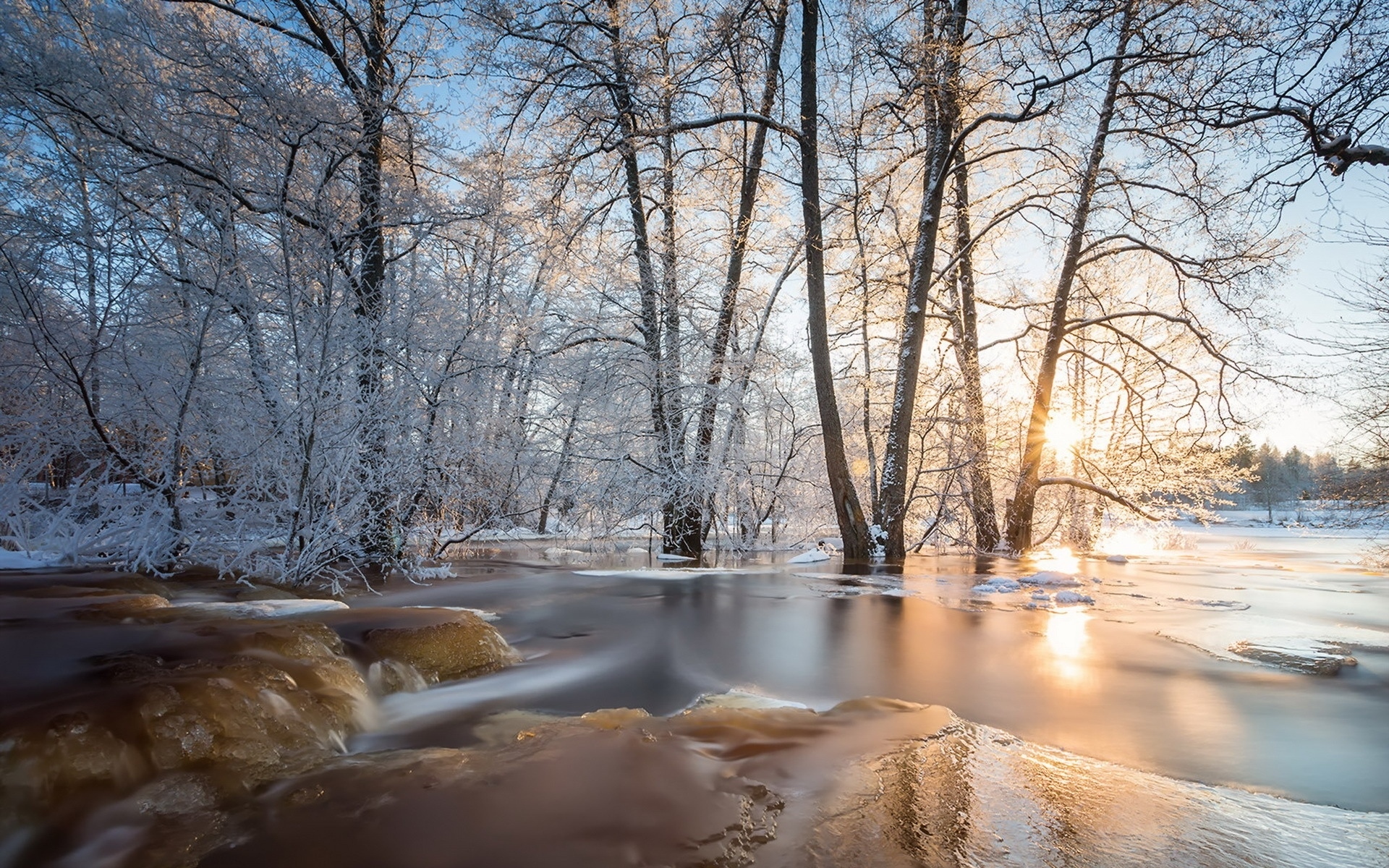 PCデスクトップに風景, 冬, 自然, 木, 氷, 地球画像を無料でダウンロード
