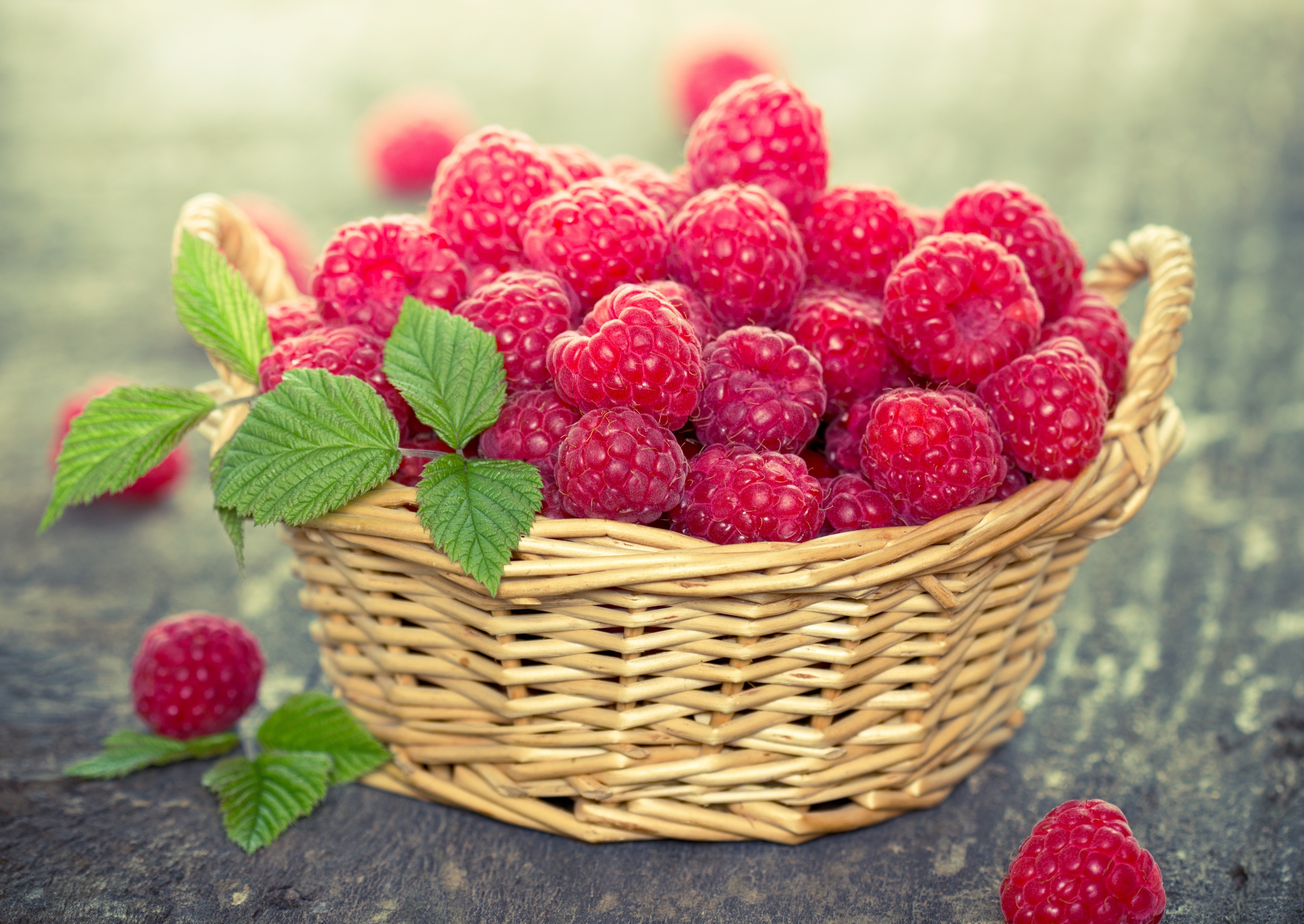 Free download wallpaper Fruits, Food, Raspberry, Still Life, Berry, Fruit, Basket on your PC desktop