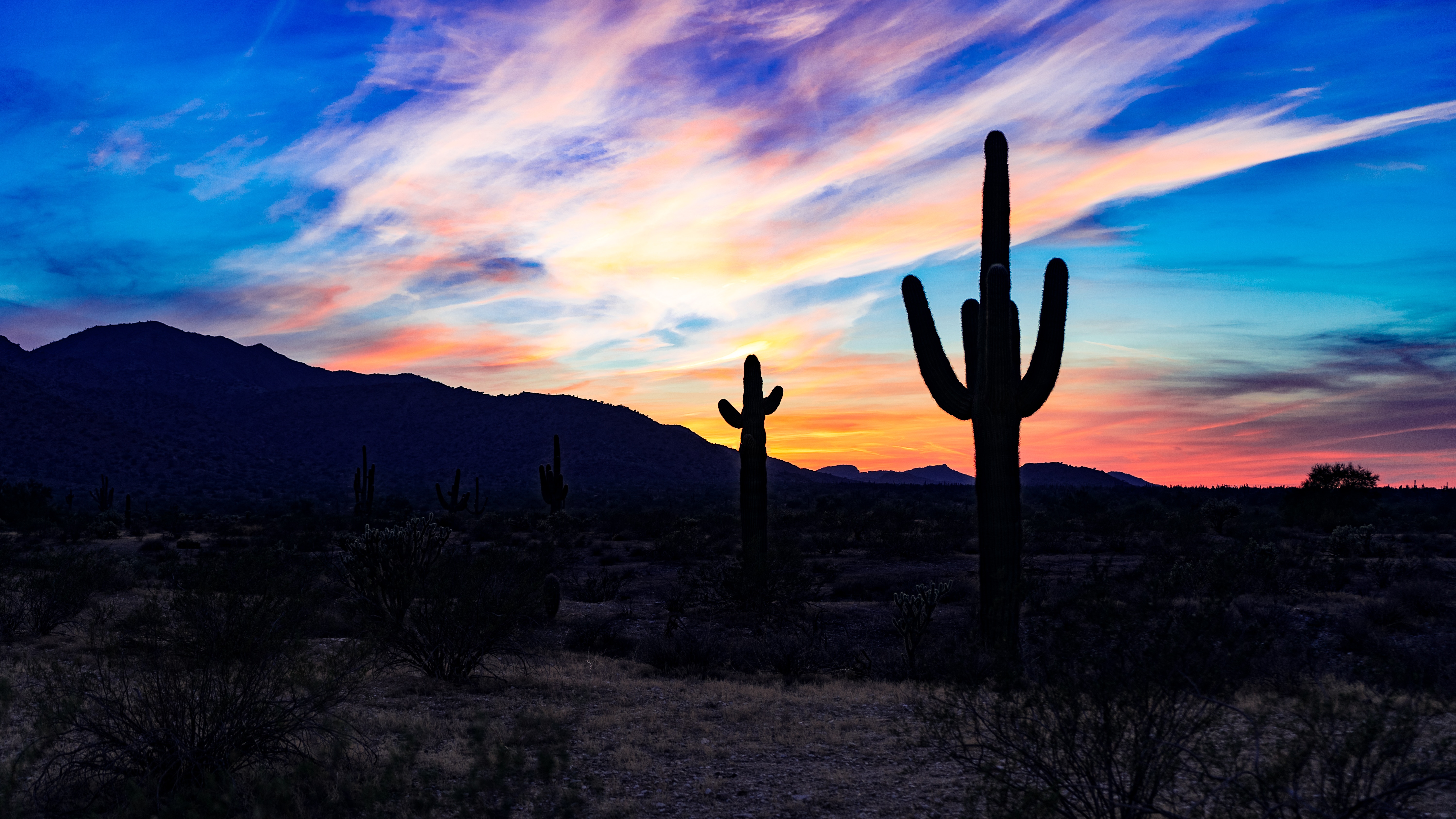 無料モバイル壁紙砂漠, サボテン, 自然, 雲, 日没をダウンロードします。