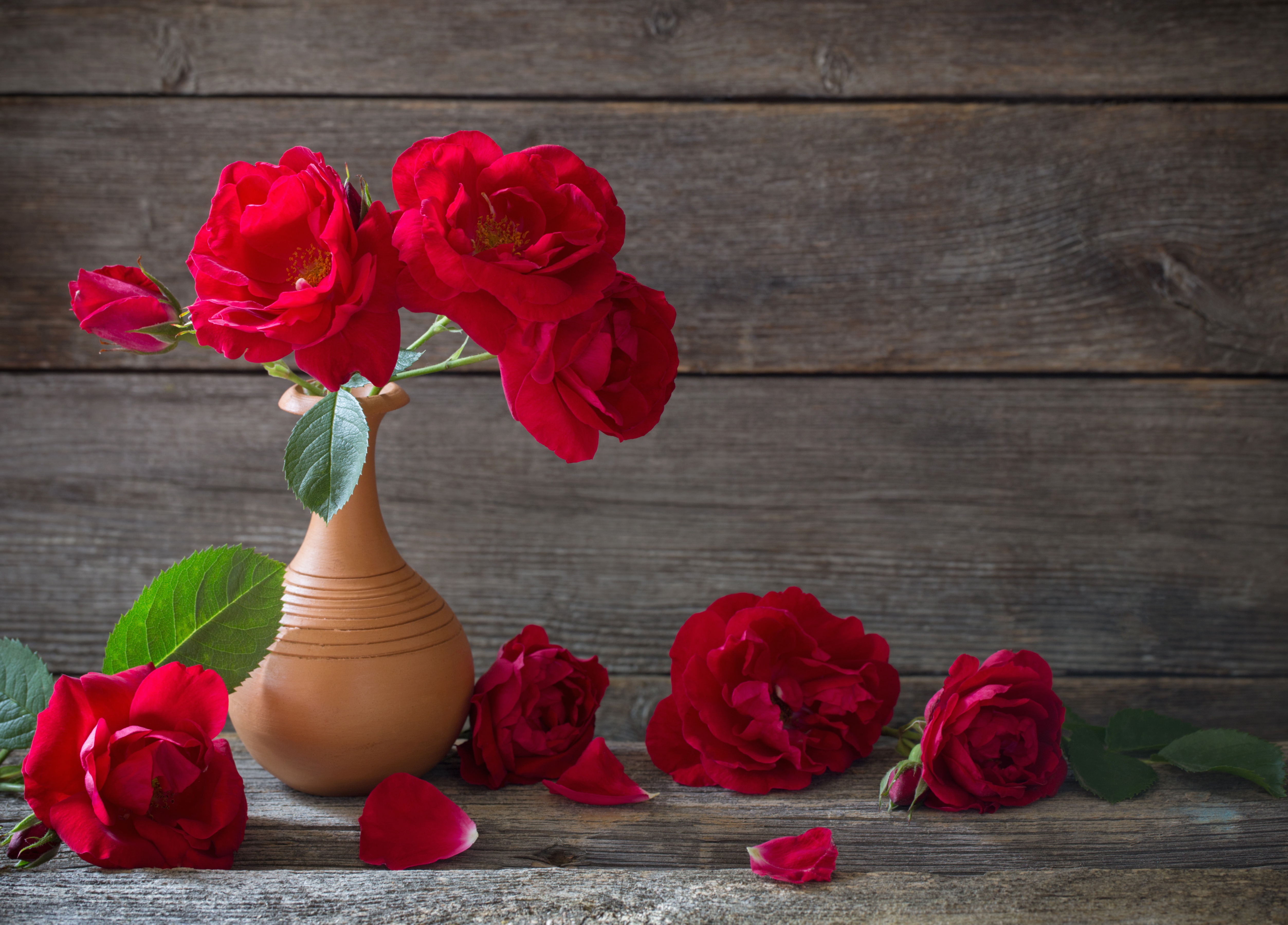 Handy-Wallpaper Blume, Rose, Vase, Fotografie, Rote Rose, Stillleben kostenlos herunterladen.