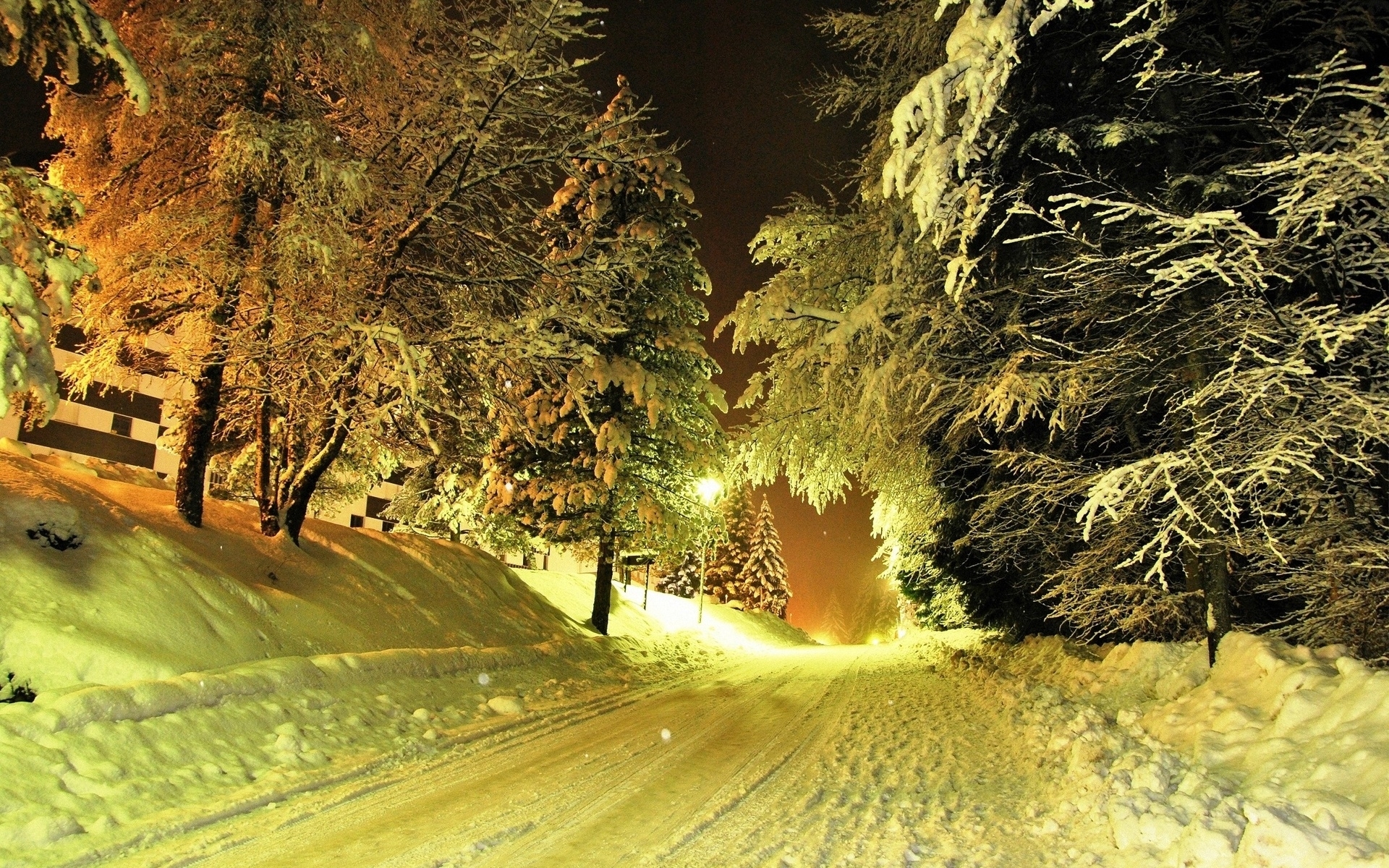 27328 descargar imagen paisaje, invierno, árboles, noche, nieve, amarillo: fondos de pantalla y protectores de pantalla gratis