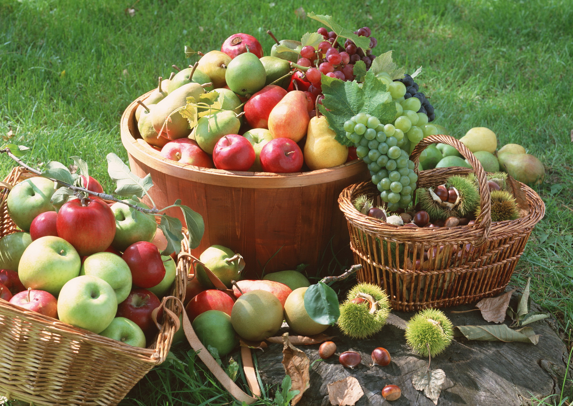 Descarga gratis la imagen Fruta, Frutas, Alimento en el escritorio de tu PC