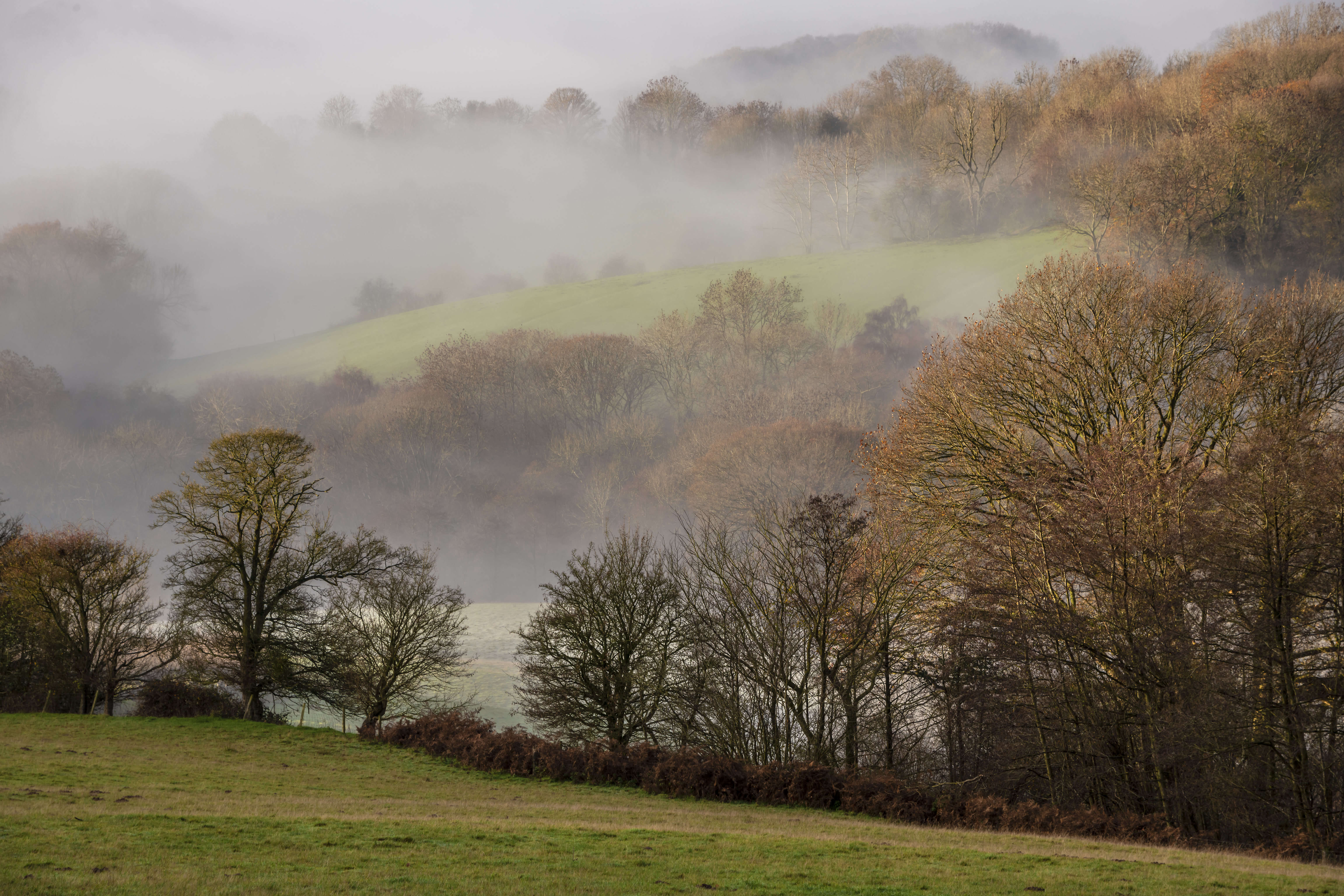 Download mobile wallpaper Fog, Trees, Landscape, Lawn, Hills, Nature for free.