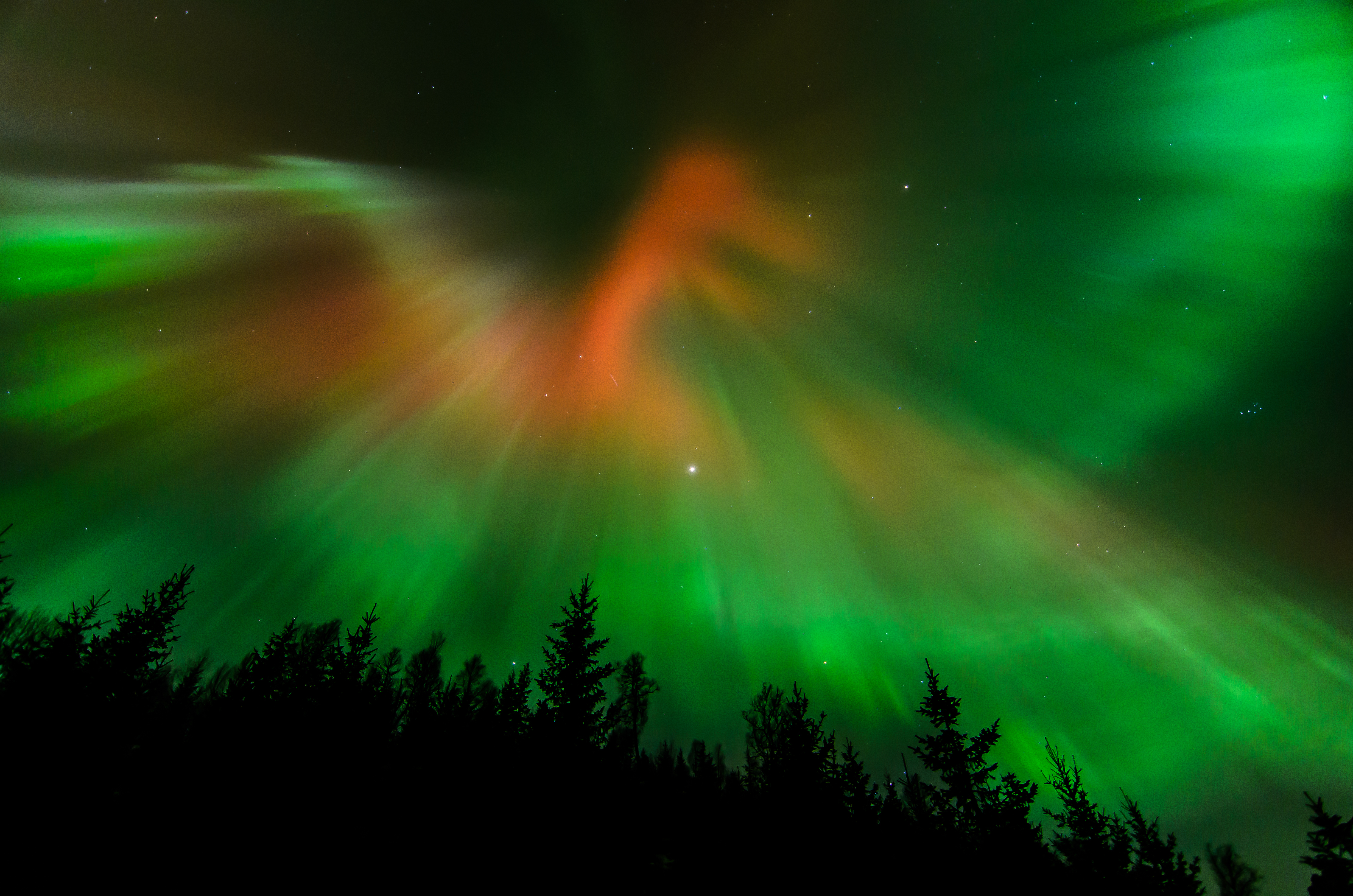 Descarga gratis la imagen Cielo, Aurora Boreal, Noruega, Tierra/naturaleza en el escritorio de tu PC