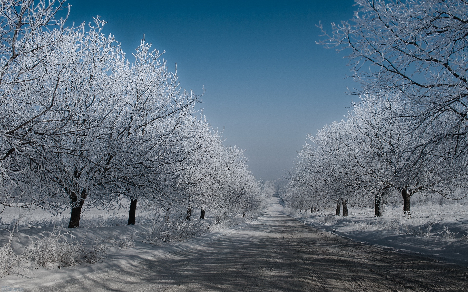 Free download wallpaper Landscape, Winter, Trees, Roads on your PC desktop