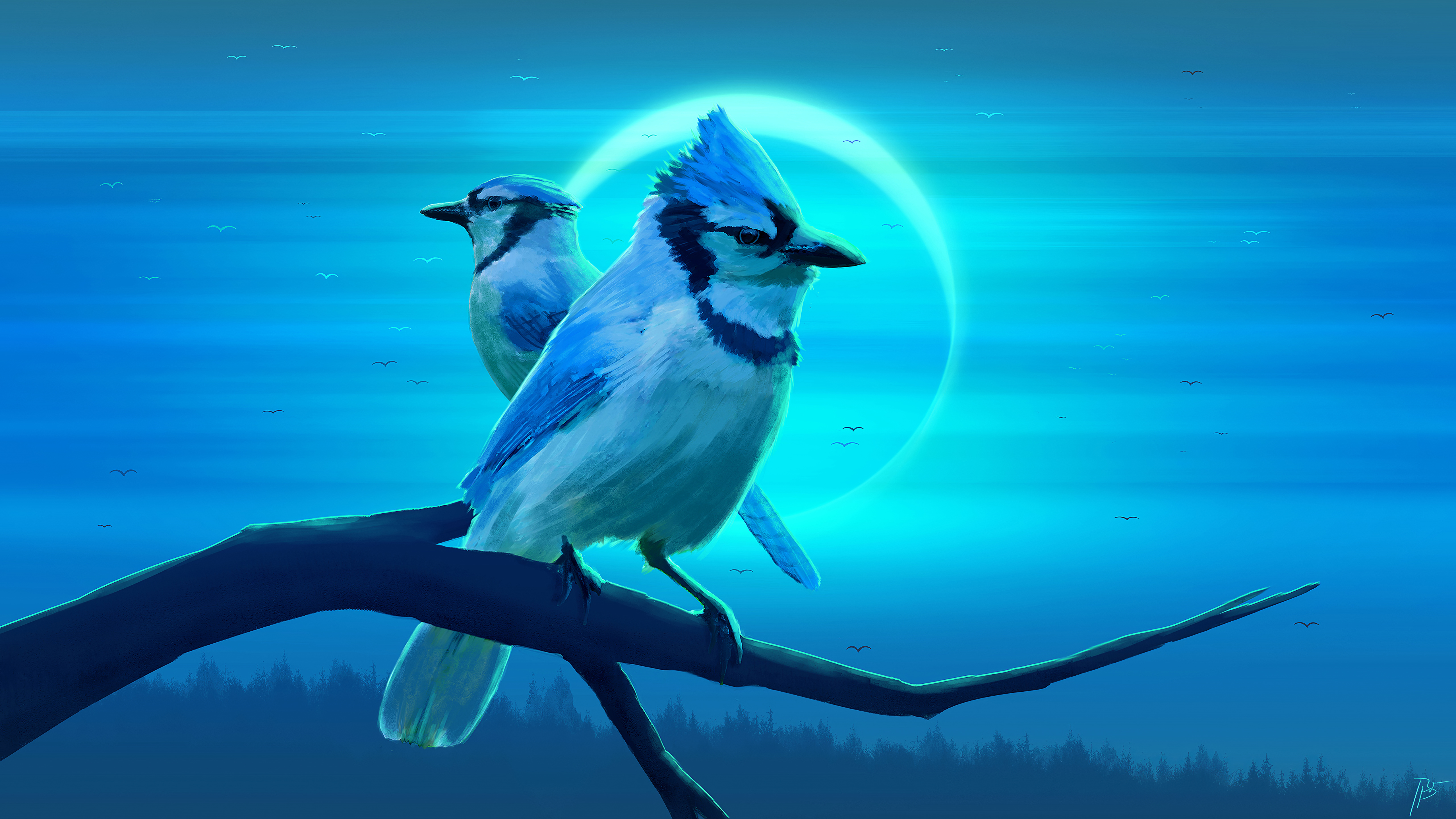 Скачать обои бесплатно Животные, Птицы, Голубая Сойка картинка на рабочий стол ПК