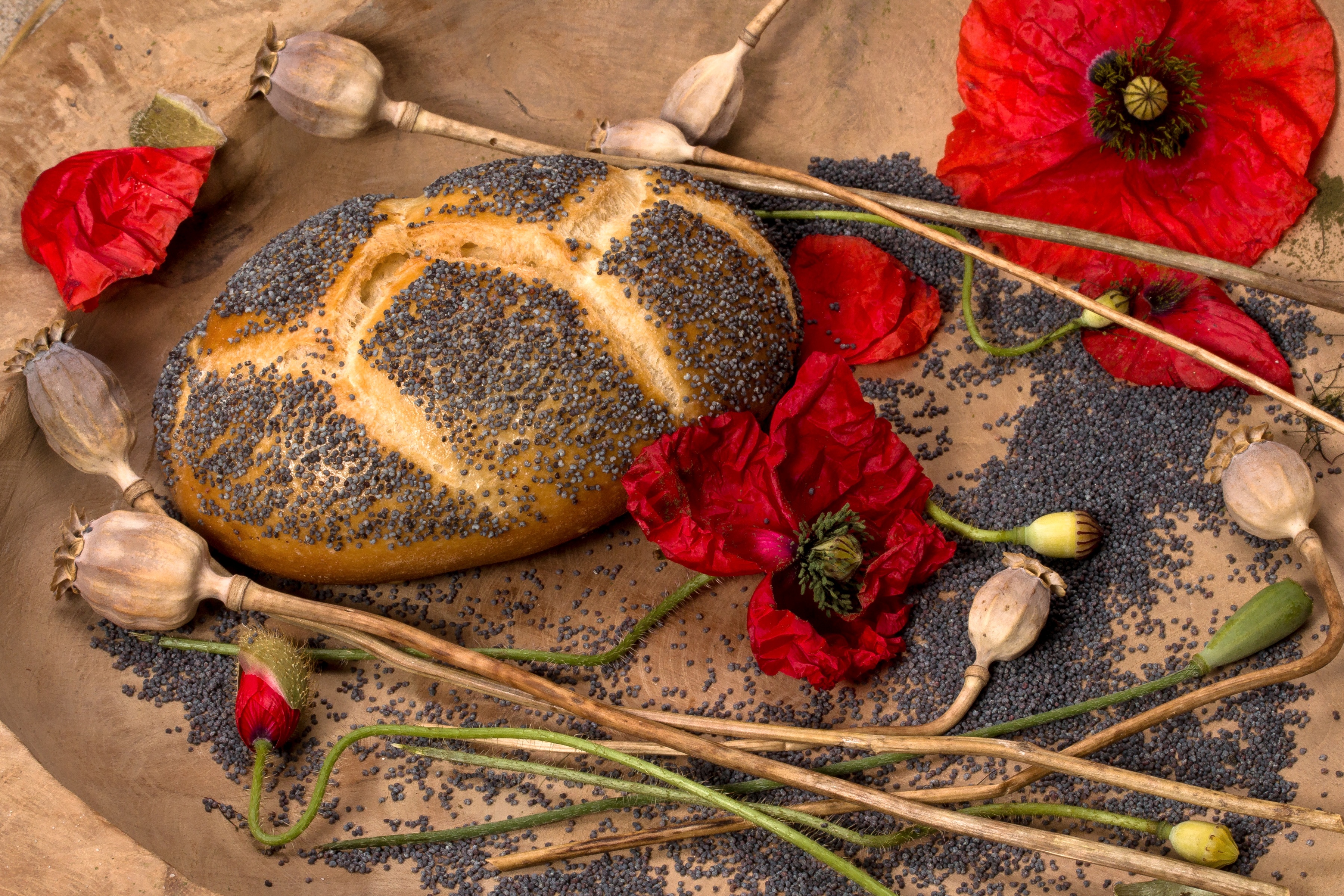 Laden Sie das Mohn, Blume, Brot, Rote Blume, Nahrungsmittel, Stillleben-Bild kostenlos auf Ihren PC-Desktop herunter