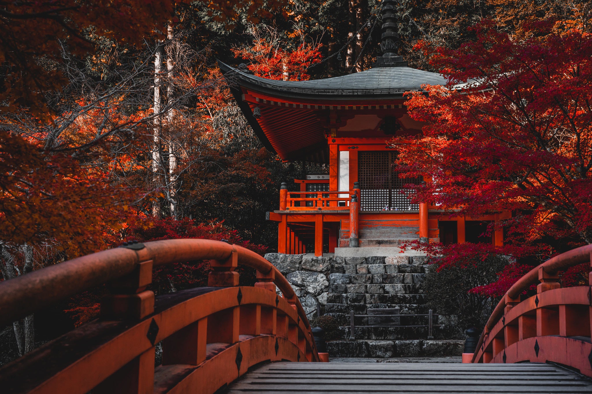 Download mobile wallpaper Bridge, Japan, Temple, Temples, Kyoto, Religious, Daigo Ji for free.