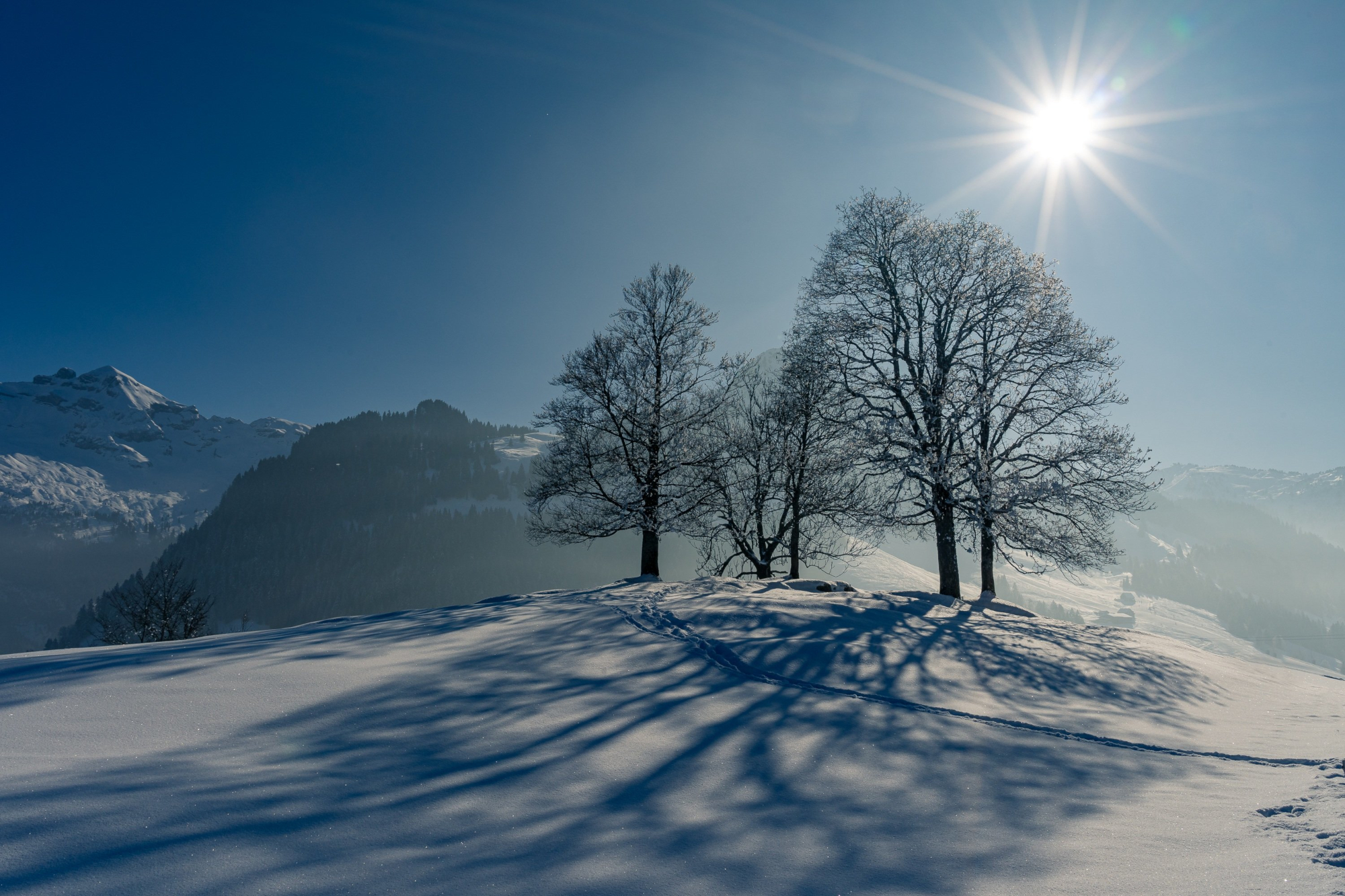 Скачать картинку Зима, Снег, Дерево, Восход Солнца, Земля/природа в телефон бесплатно.