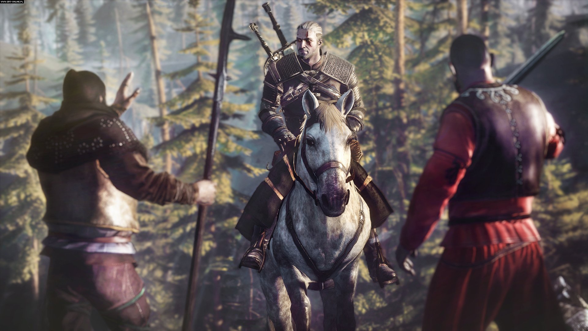 Laden Sie das Computerspiele, Der Hexer, The Witcher 3: Wild Hunt-Bild kostenlos auf Ihren PC-Desktop herunter