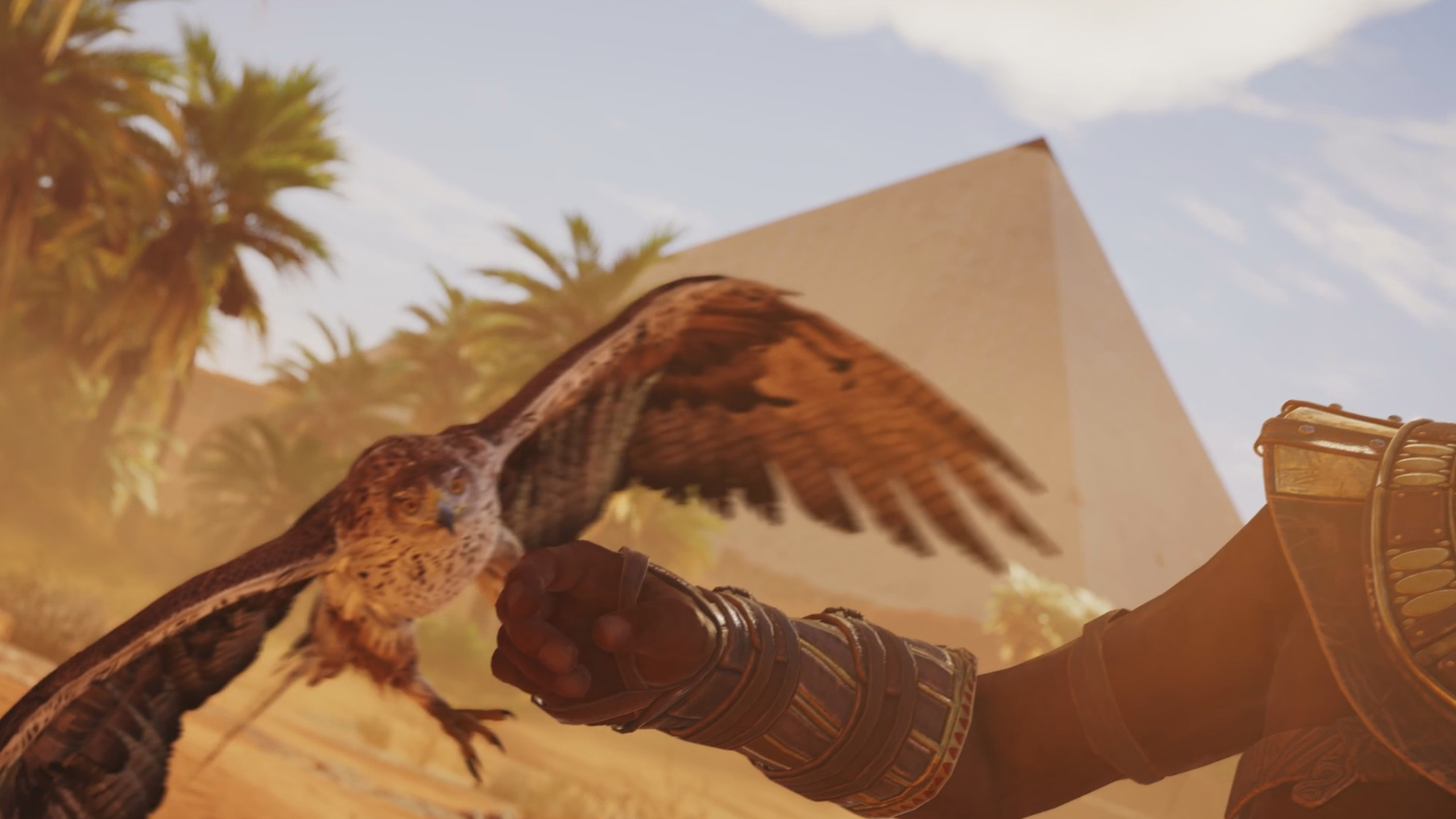 Download mobile wallpaper Assassin's Creed, Desert, Eagle, Pyramid, Video Game, Assassin's Creed Origins, Tamer for free.