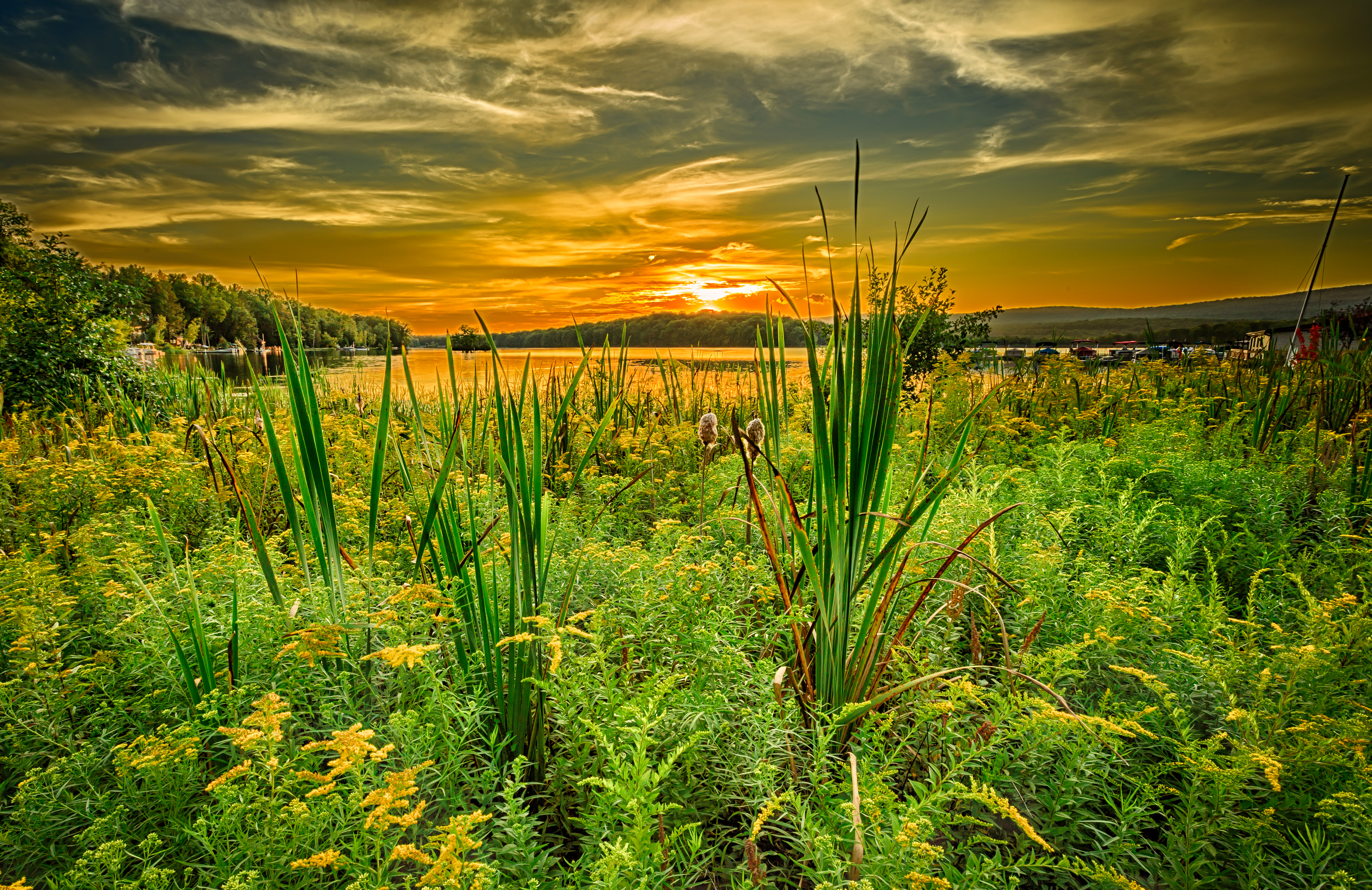 PCデスクトップに自然, 地平線, 日没, 草, 川, 夏画像を無料でダウンロード