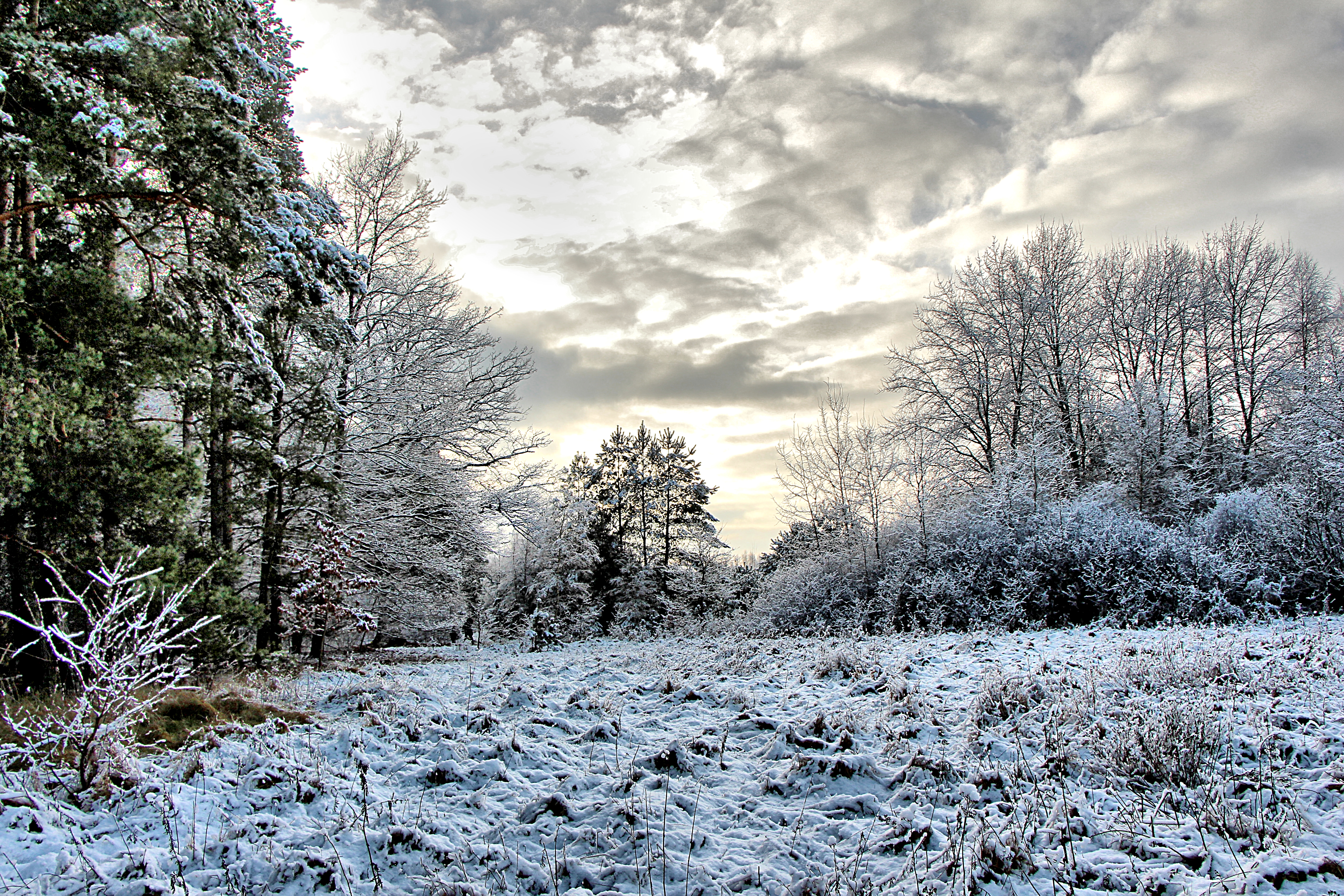 Free download wallpaper Winter, Earth on your PC desktop