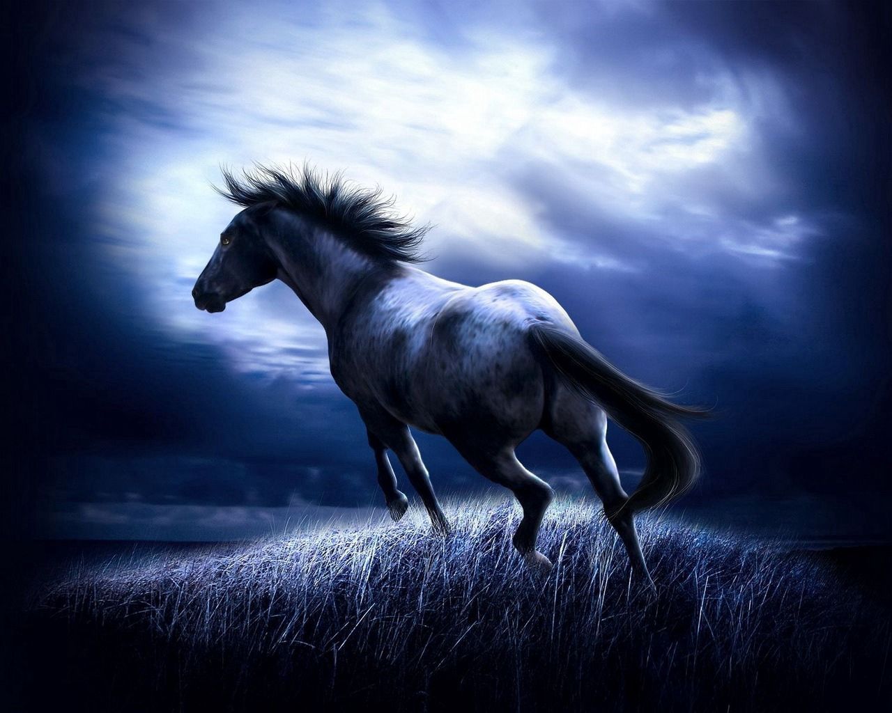 Download mobile wallpaper Animals, Field, Horse for free.