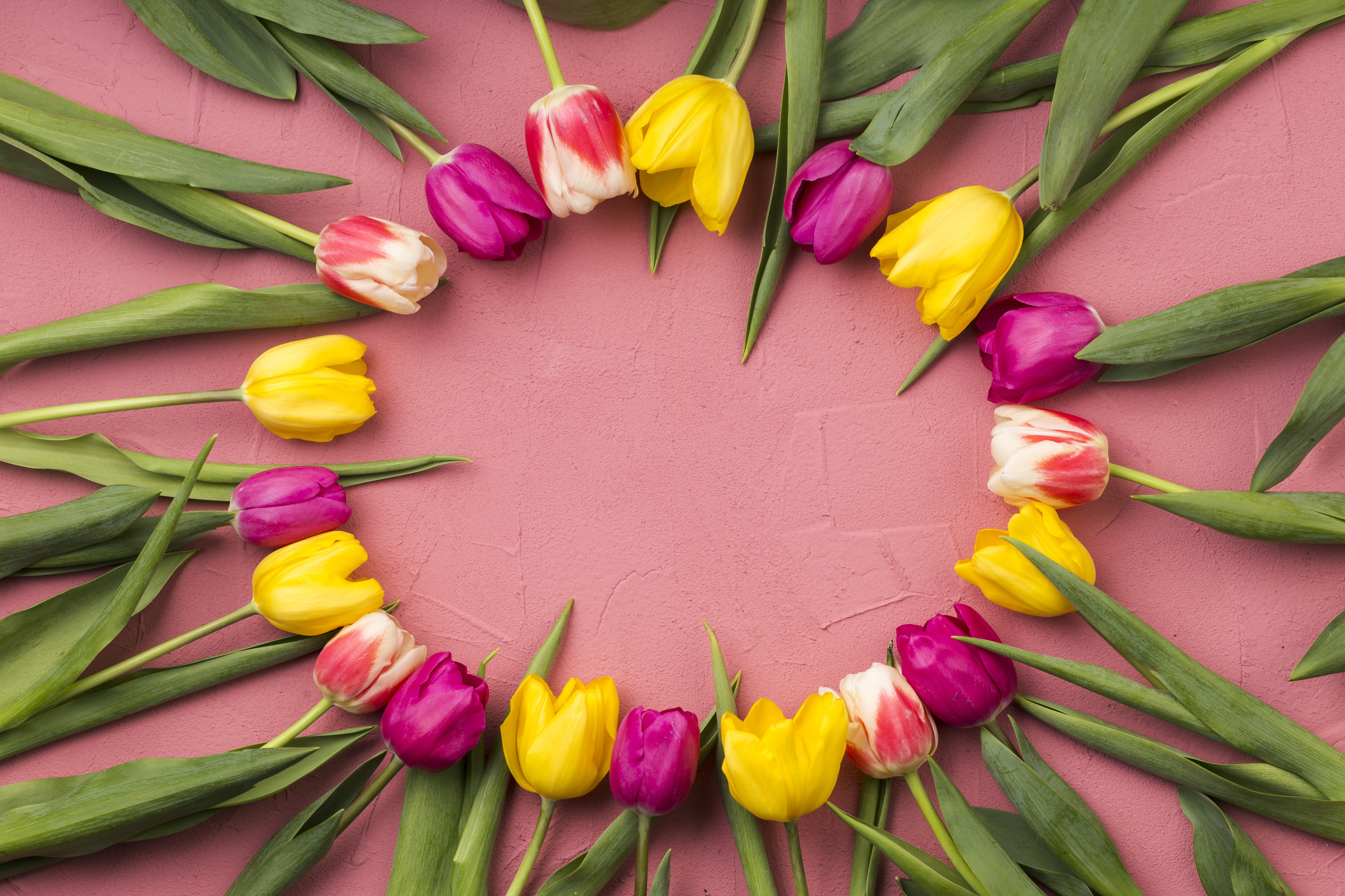 PCデスクトップにチューリップ, 花, 黄色い花, マンメイド, ピンクの花画像を無料でダウンロード