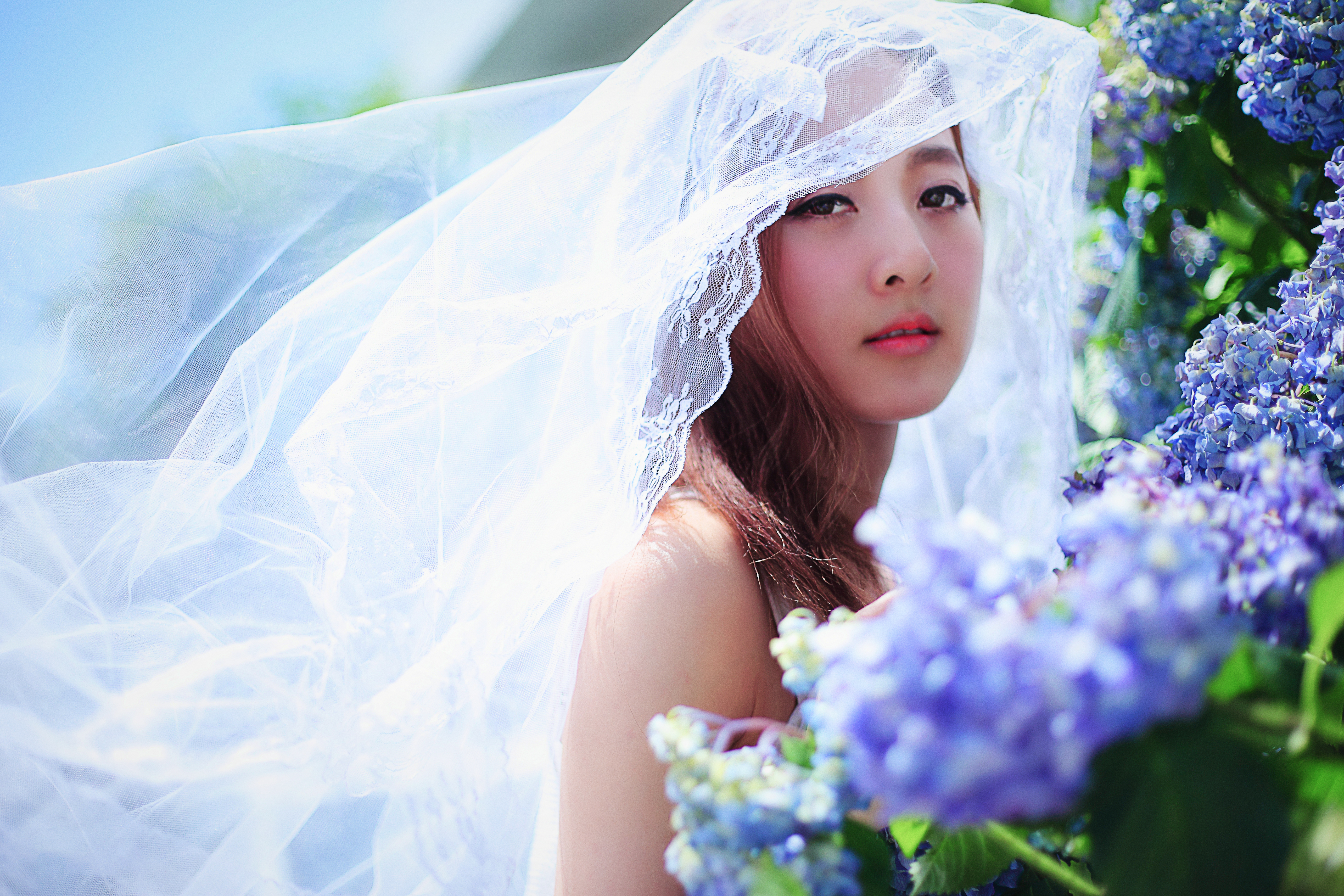 women, mikako zhang kaijie, asian, blossom, bokeh, bride, model, spring, taiwanese, veil wallpaper for mobile