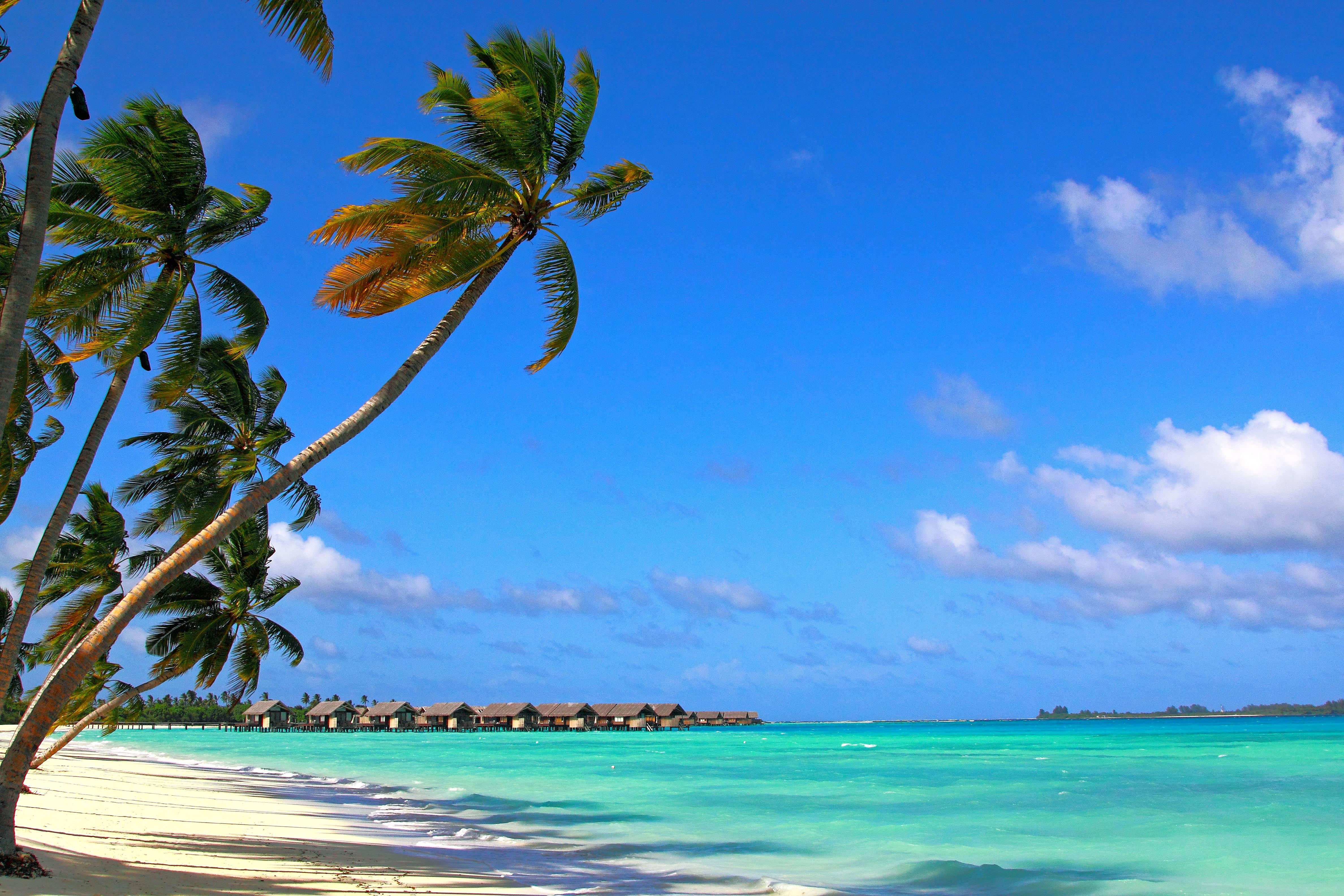 Скачати мобільні шпалери Тропіках, Природа, Тропіки, Мальдіви, Пляж, Літо безкоштовно.