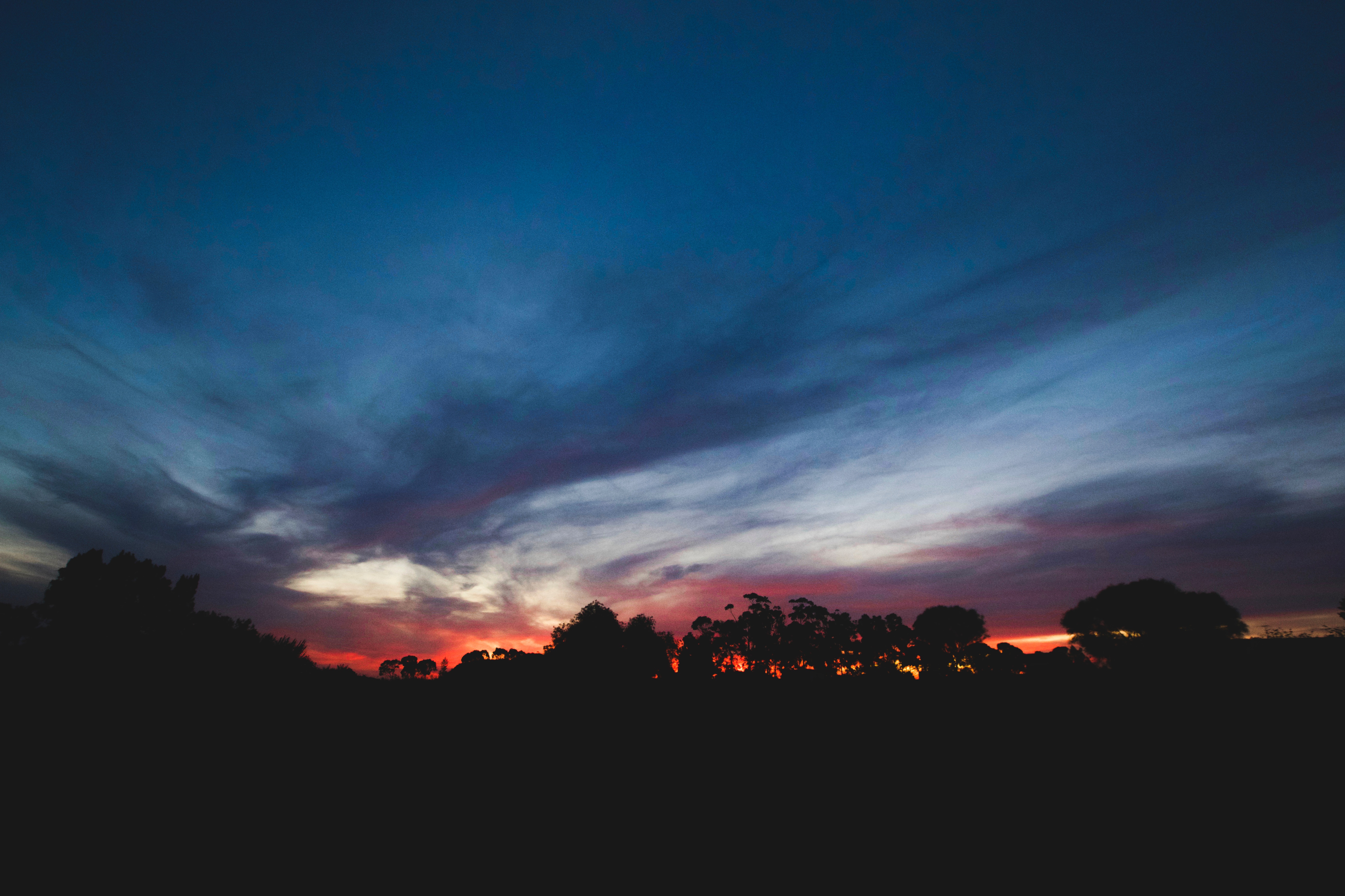Laden Sie das Sunset, Horizont, Sky, Clouds, Bäume, Dunkel-Bild kostenlos auf Ihren PC-Desktop herunter
