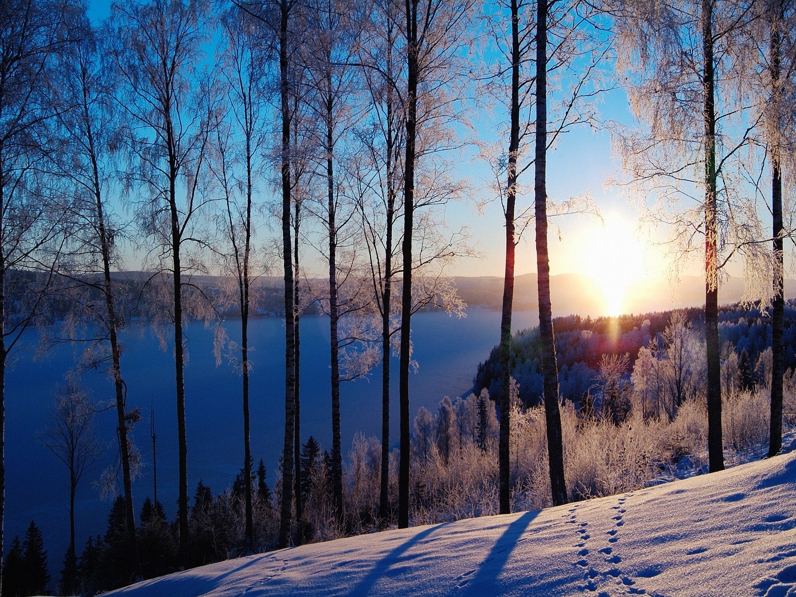 Скачать обои бесплатно Снег, Деревья, Закат, Пейзаж, Зима картинка на рабочий стол ПК