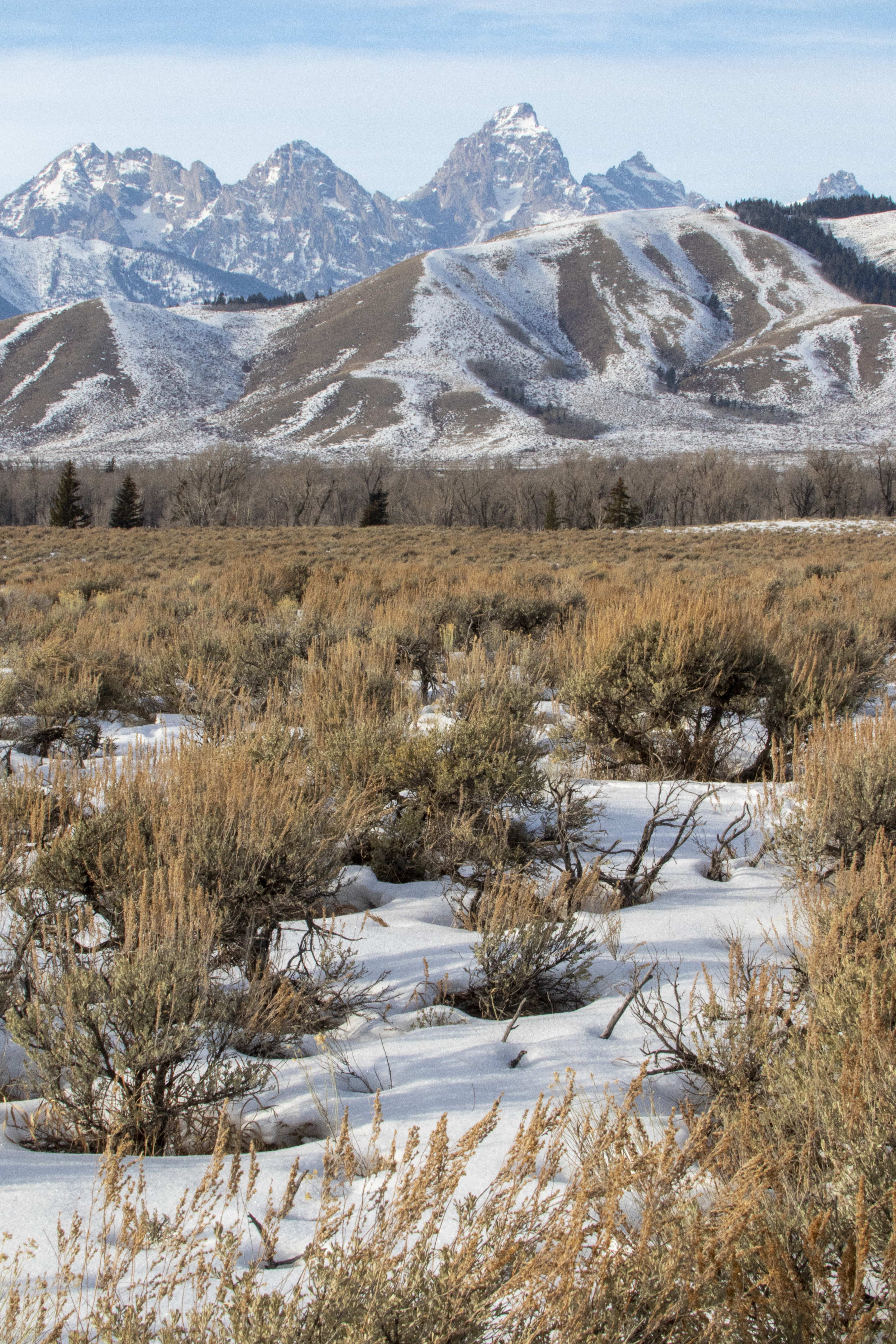Download mobile wallpaper Snow, Bush, Winter, Mountains, Landscape, Nature for free.