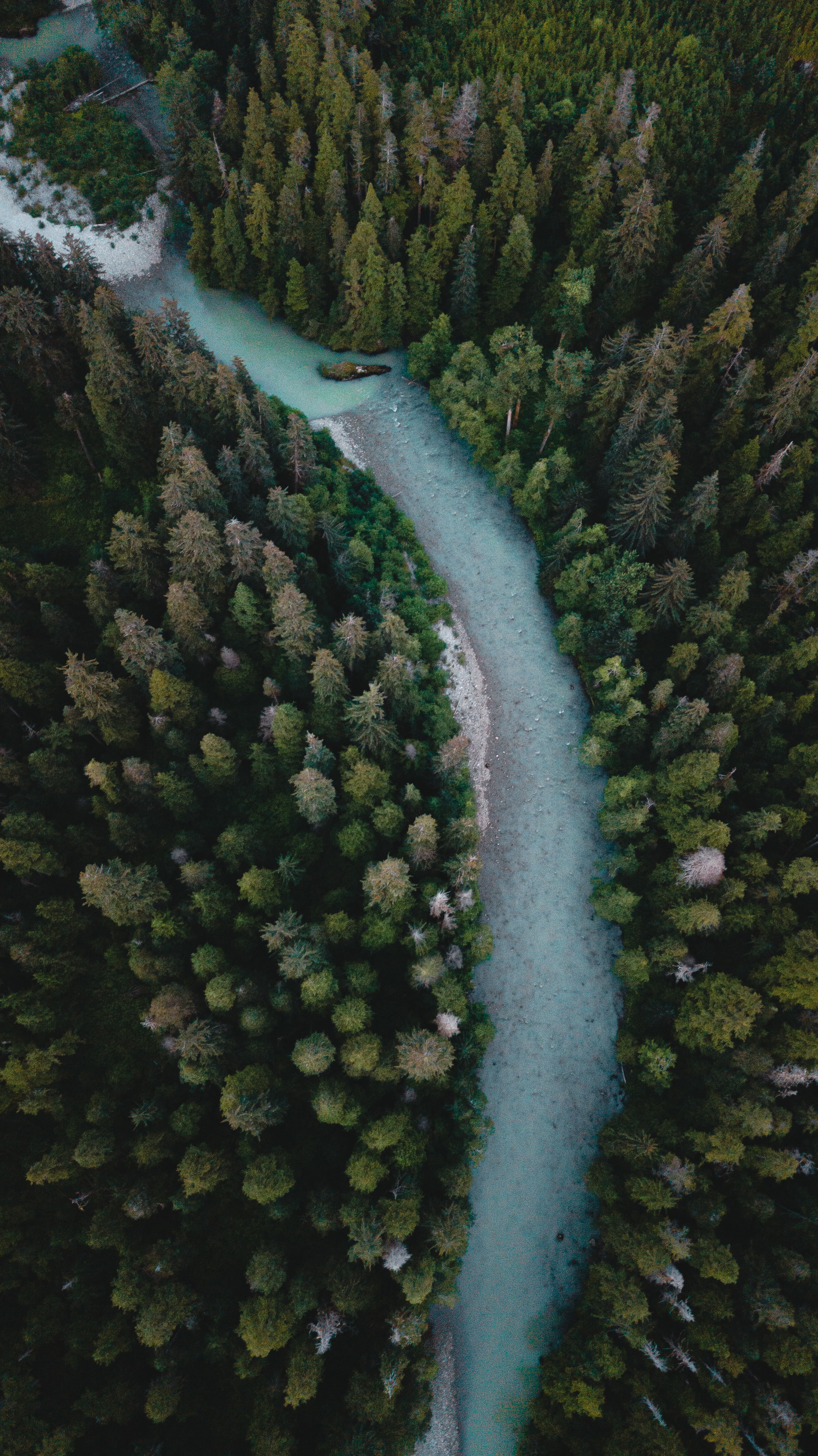 Free download wallpaper Nature, Trees, View From Above, Winding, Sinuous, Rivers, Forest on your PC desktop