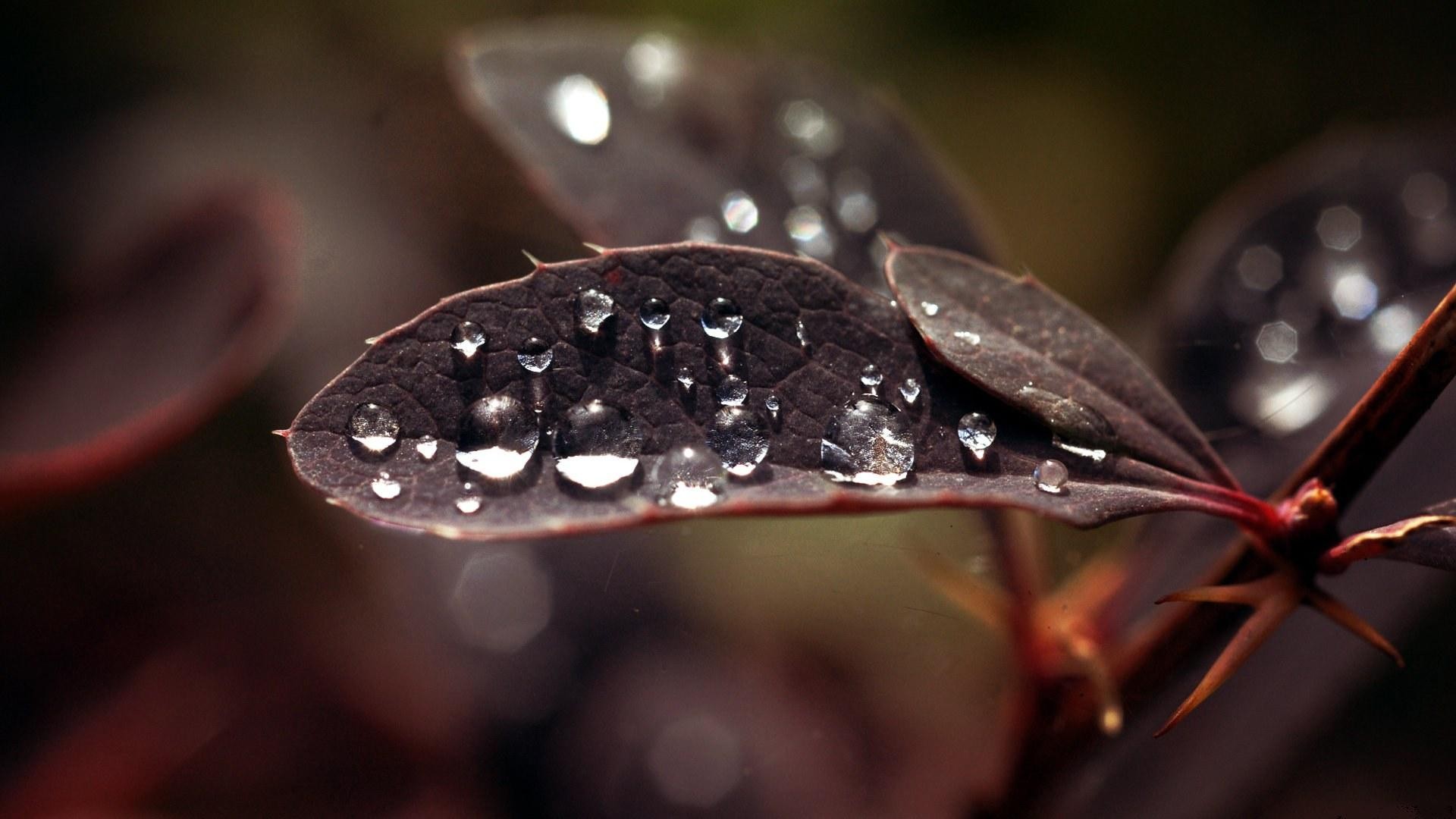 Free download wallpaper Earth, Water Drop on your PC desktop