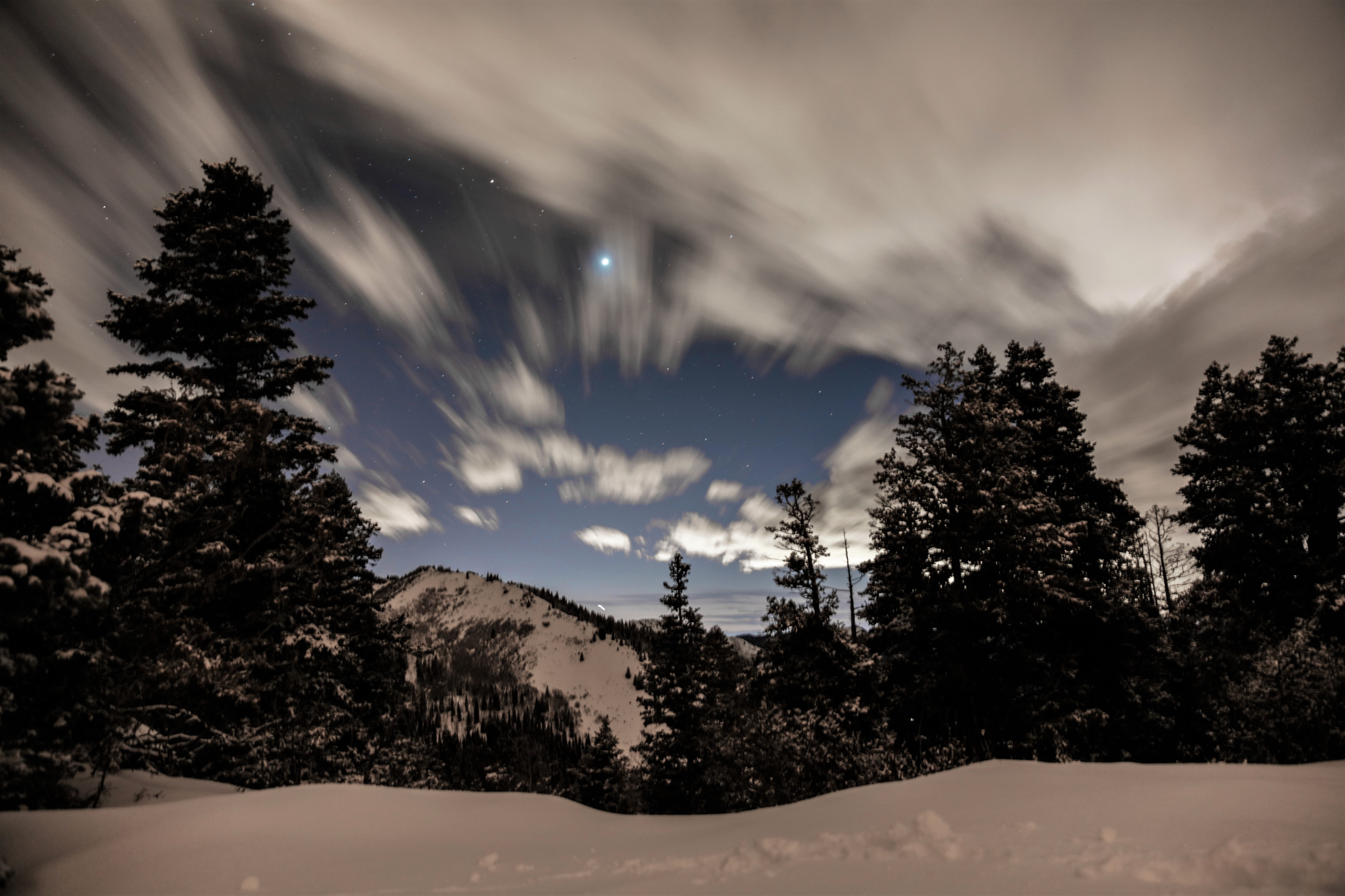 Скачать картинку Зима, Небо, Ночь, Облака, Снег, Лес, Дерево, Земля/природа в телефон бесплатно.