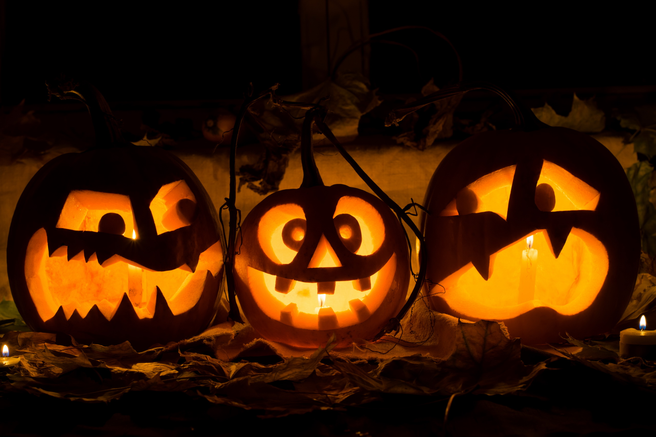 Free download wallpaper Halloween, Holiday on your PC desktop