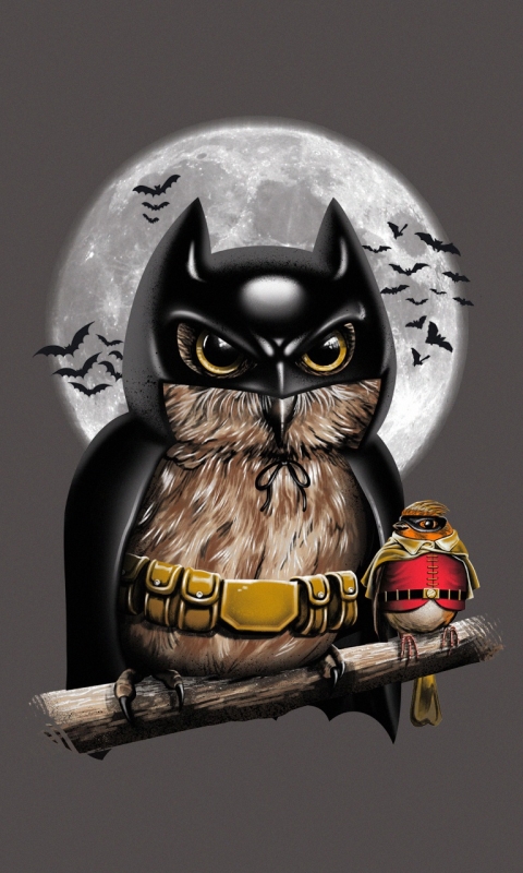 Download mobile wallpaper Batman, Owl, Moon, Bird, Comics, Robin (Dc Comics) for free.