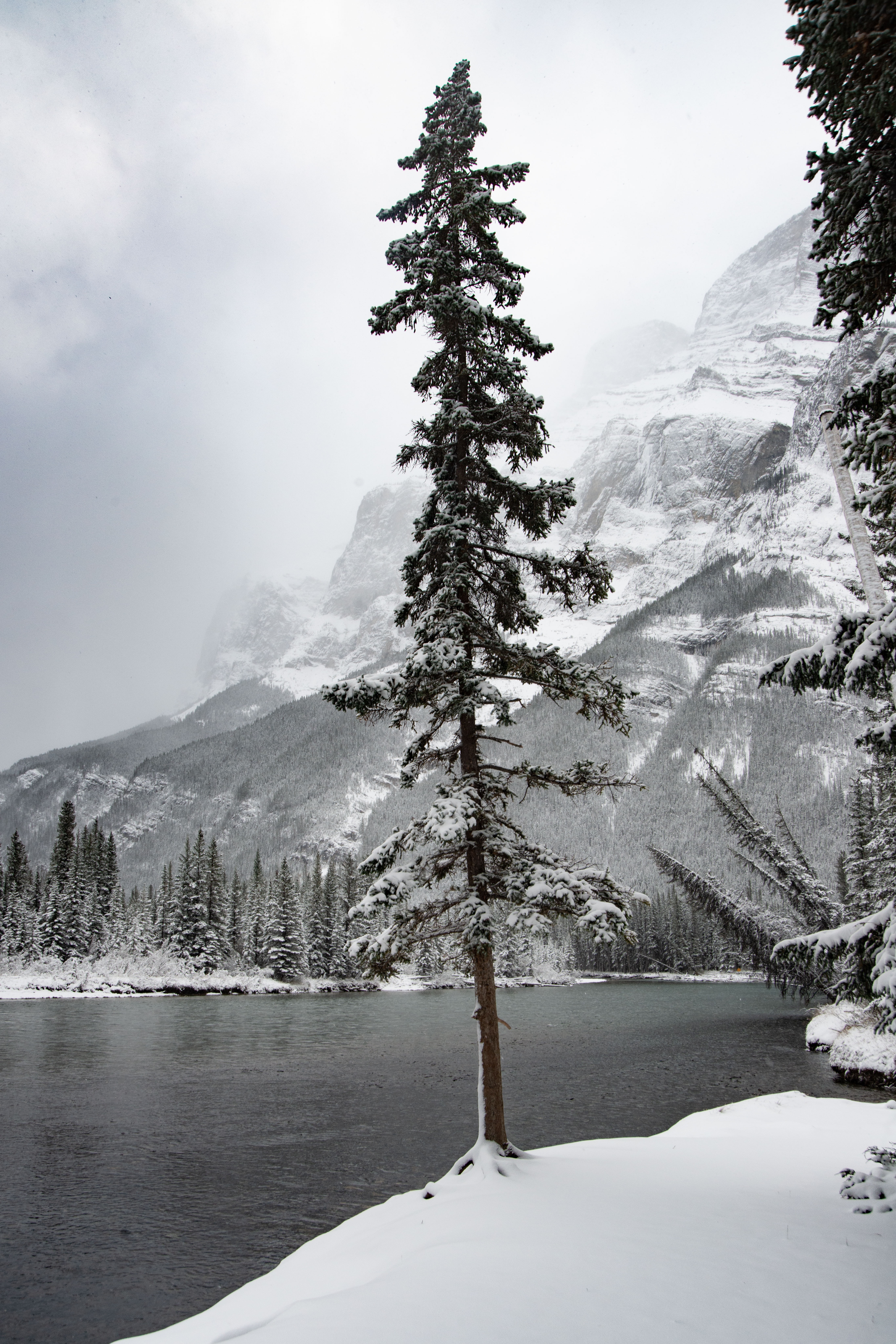 Скачать картинку Гора, Снег, Деревья, Река, Природа, Пейзаж в телефон бесплатно.