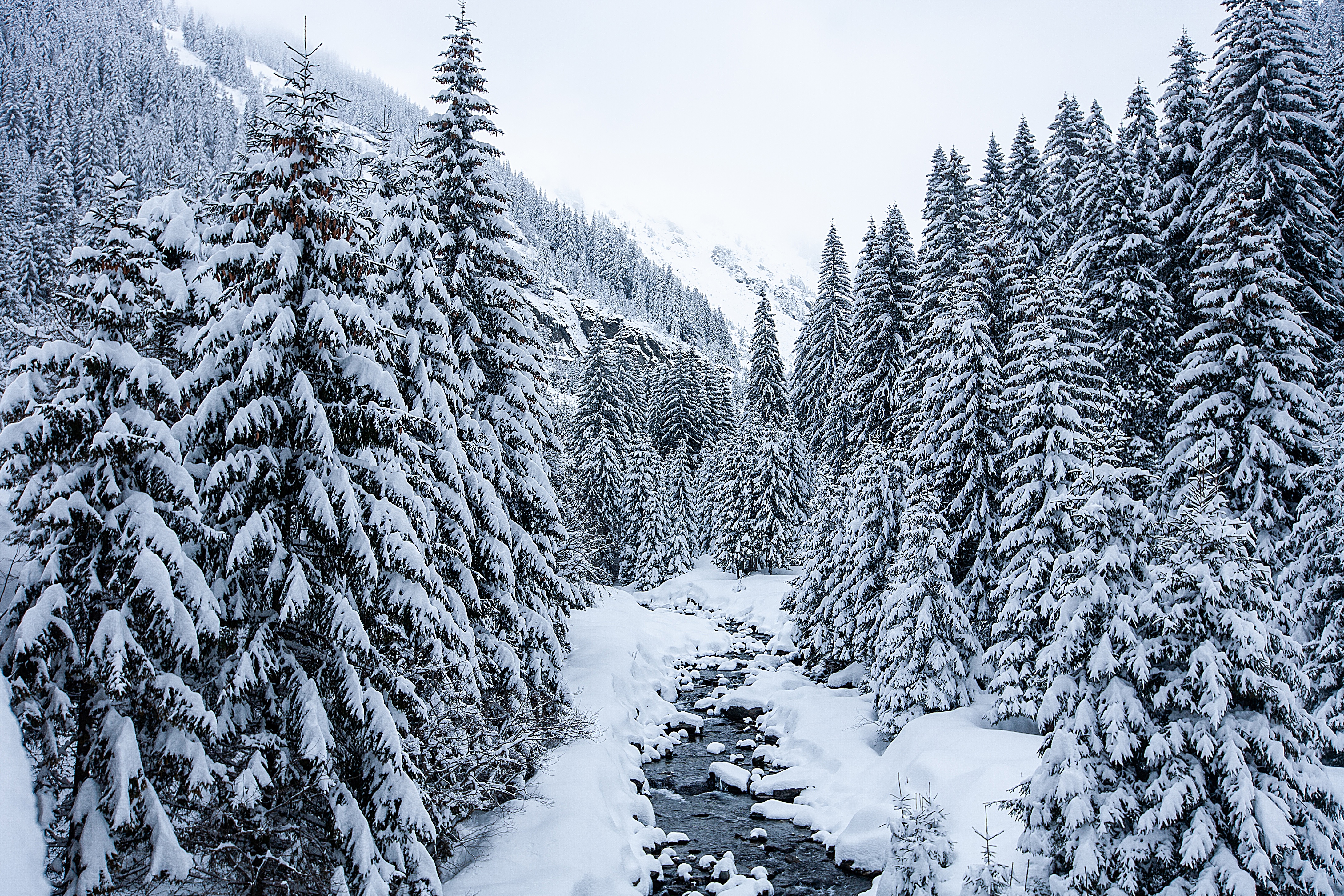 Download mobile wallpaper Winter, Earth, Stream for free.