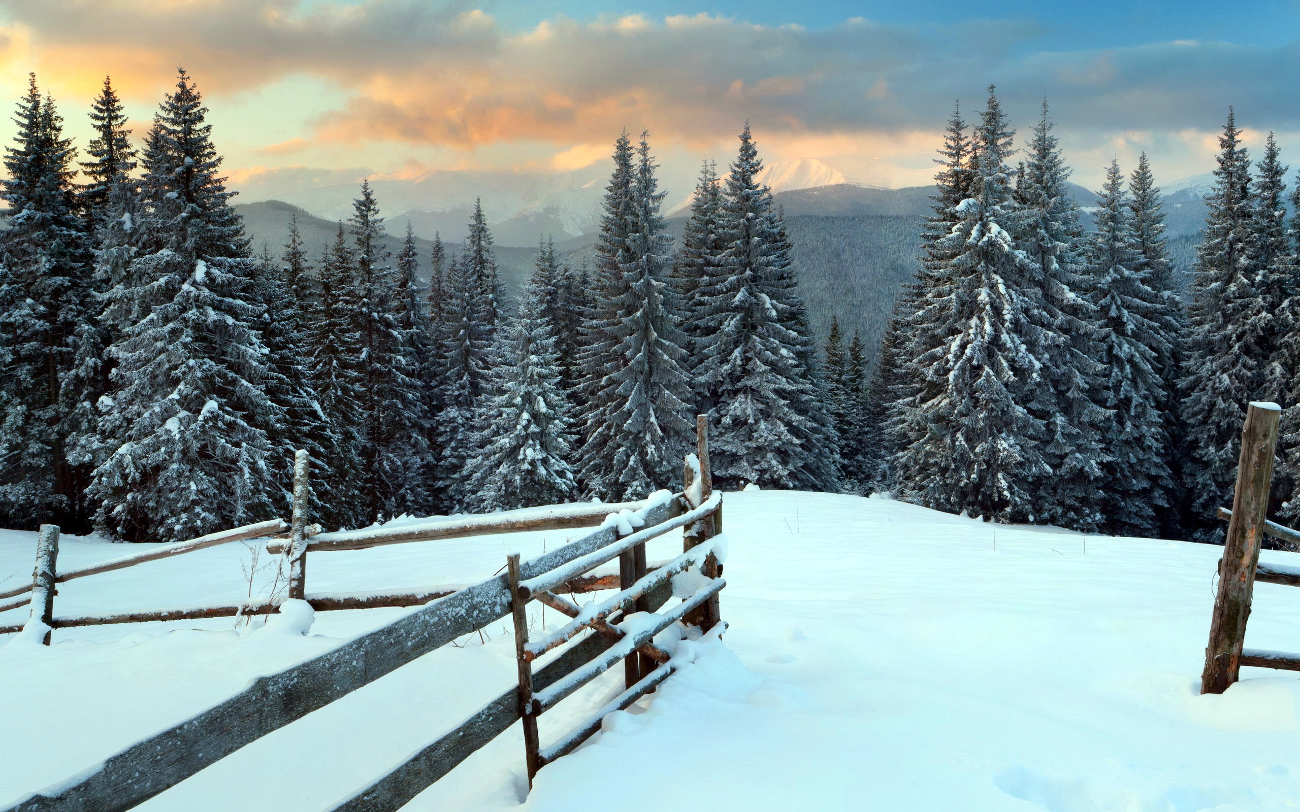 Download mobile wallpaper Winter, Snow, Mountain, Forest, Tree, Earth, Fence for free.