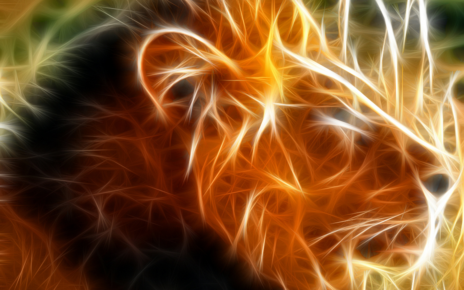 Download mobile wallpaper Lion, Cats, Animal for free.