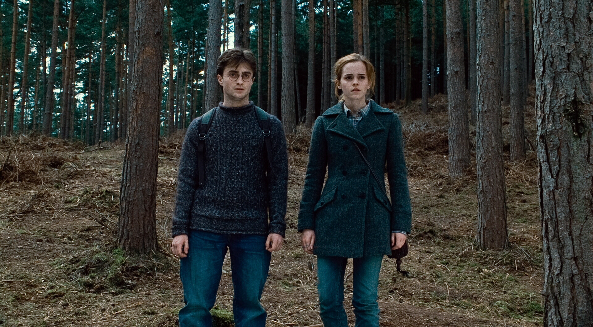 Download mobile wallpaper Harry Potter, Movie, Hermione Granger, Harry Potter And The Deathly Hallows: Part 1 for free.