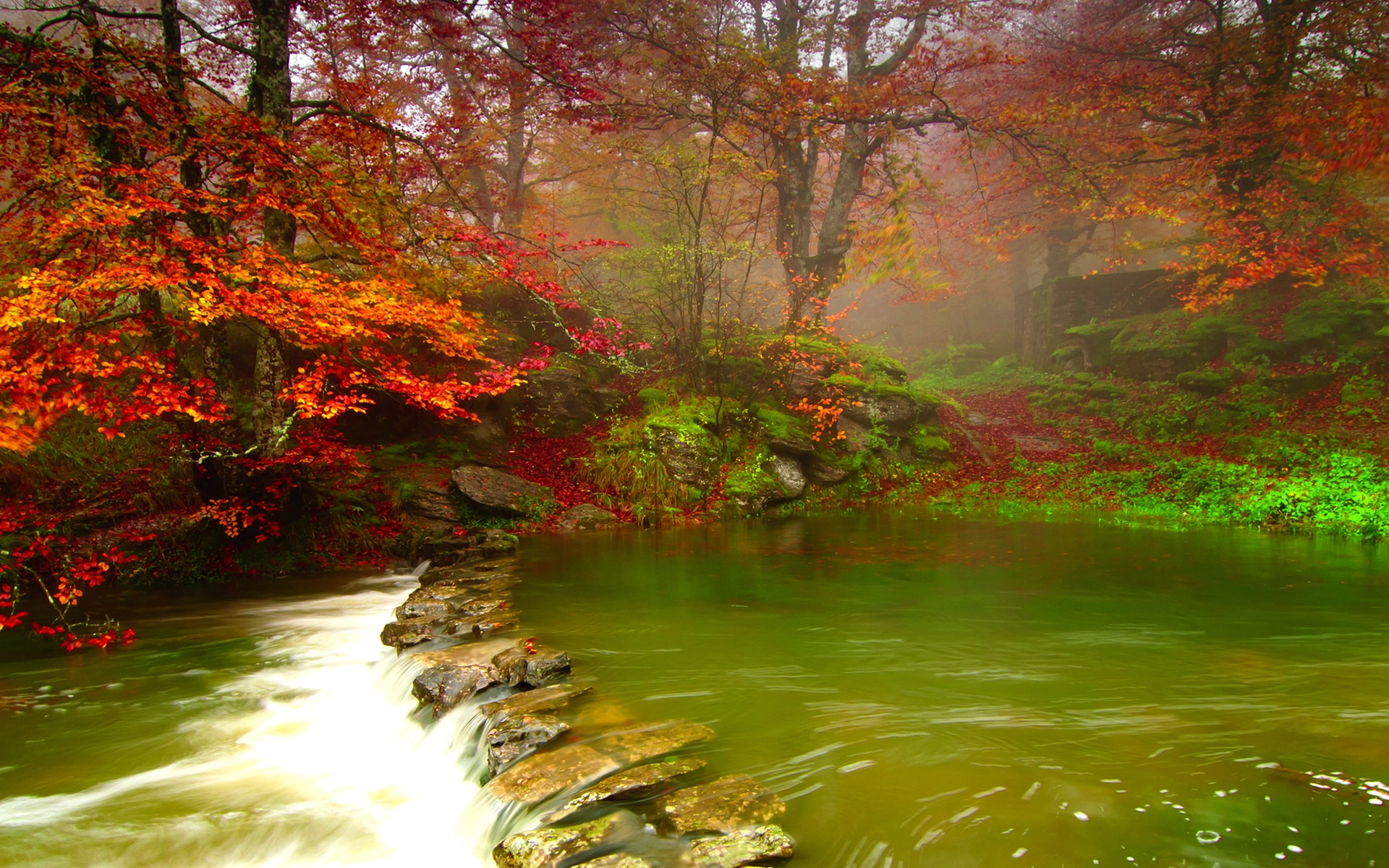 Free download wallpaper Forest, Tree, Fall, Earth, River on your PC desktop