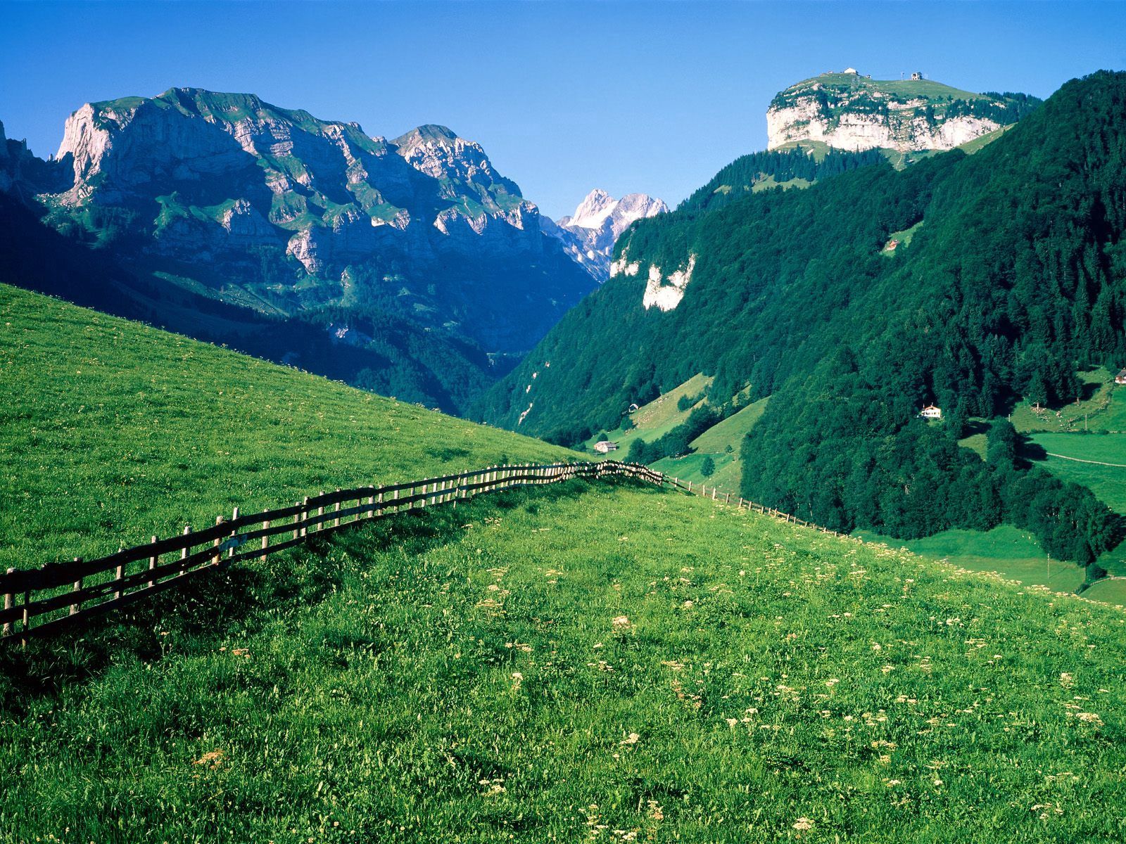 mountains, greens, nature, trees, switzerland, fence, meadows, slopes, pasture