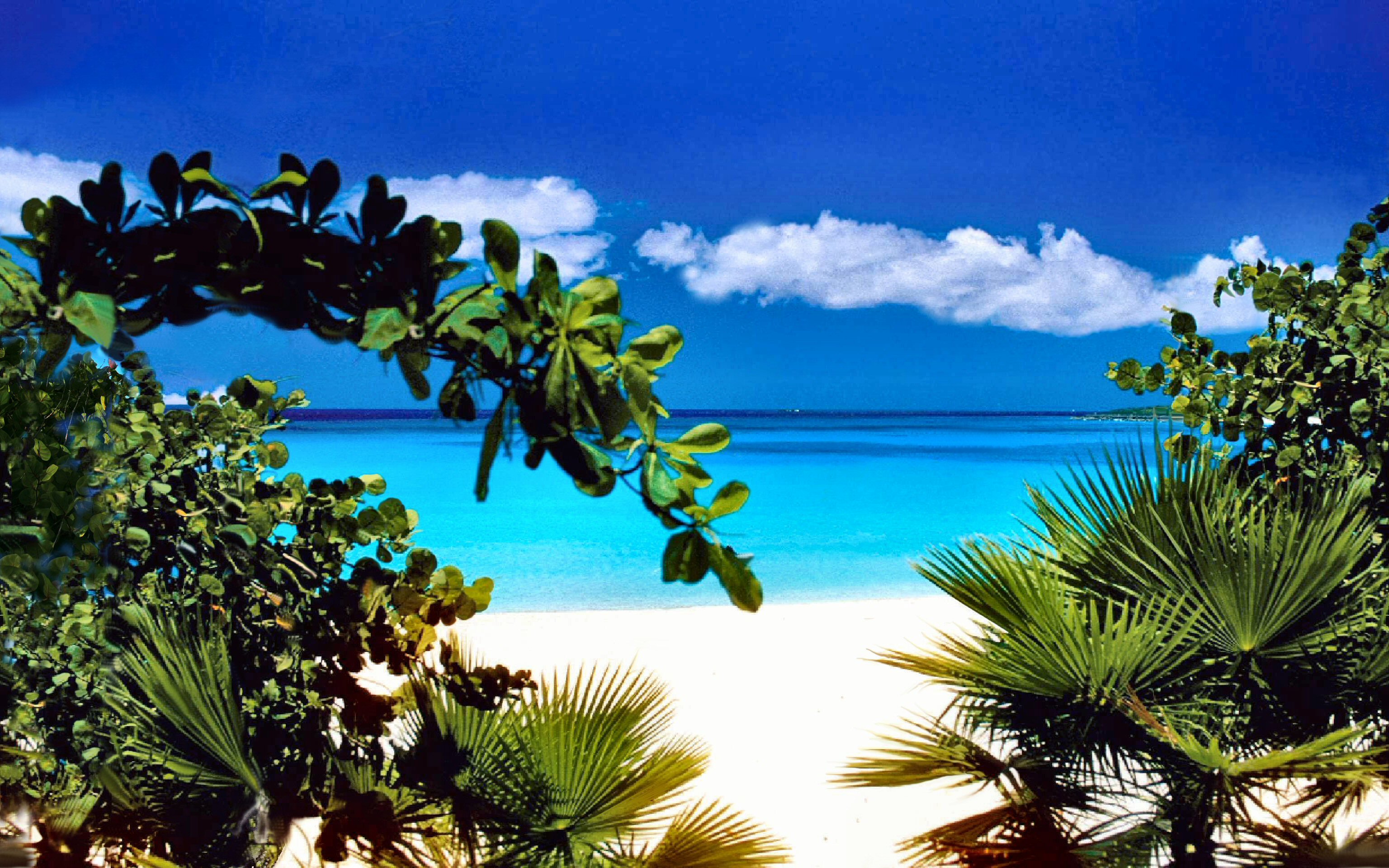 1469494 descargar fondo de pantalla tierra/naturaleza, playa, caribe, horizonte, soleado, tropical, turquesa: protectores de pantalla e imágenes gratis