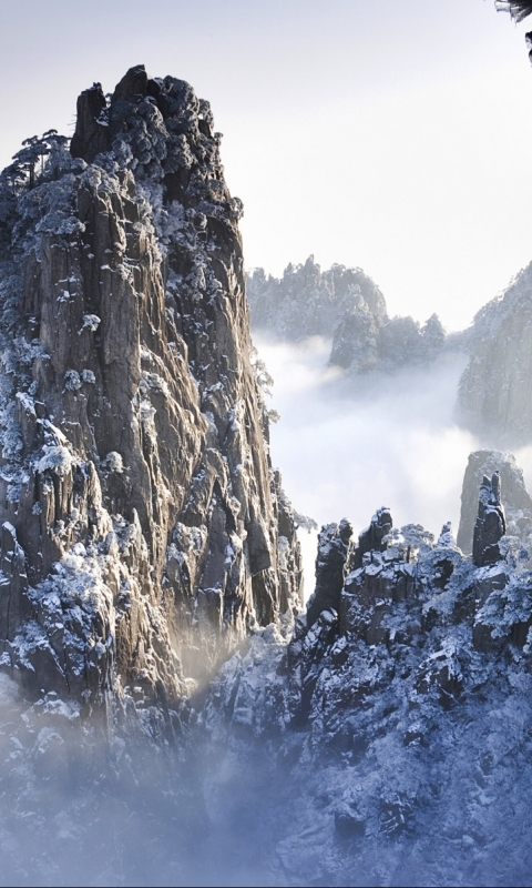 Descarga gratuita de fondo de pantalla para móvil de Montañas, Nieve, Montaña, Árbol, Tierra/naturaleza.