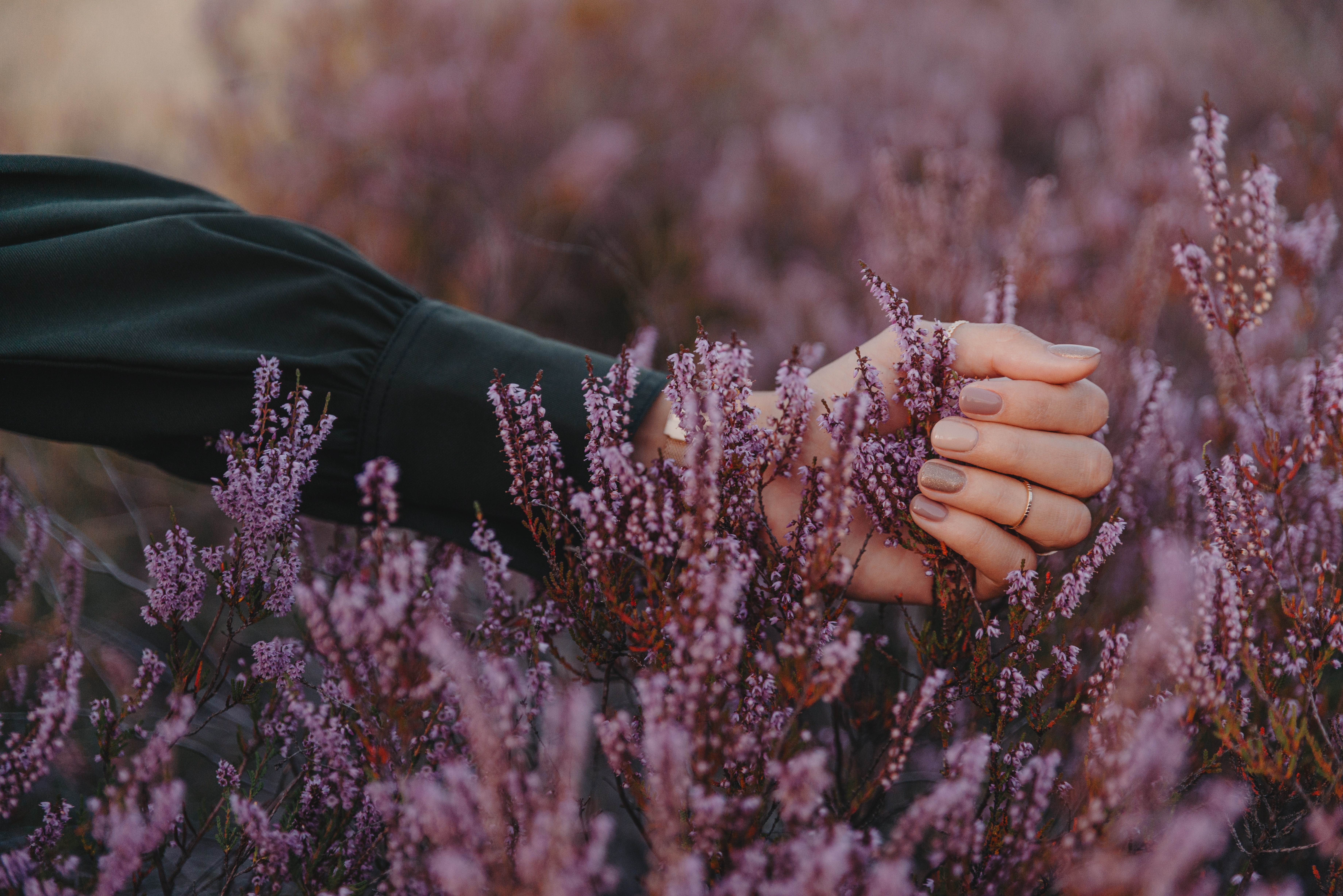 hand, flowers, violet, purple, fingers, inflorescences, inflorescence