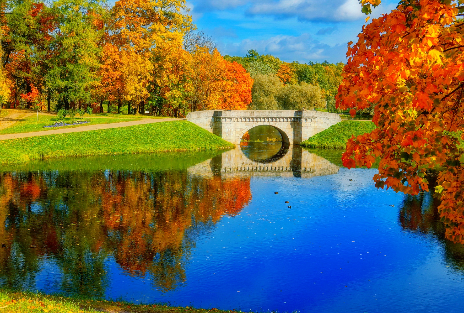 Handy-Wallpaper Natur, Herbst, See, Park, Baum, Erde, Brücke, Teich, Brücken, Menschengemacht, Spiegelung kostenlos herunterladen.