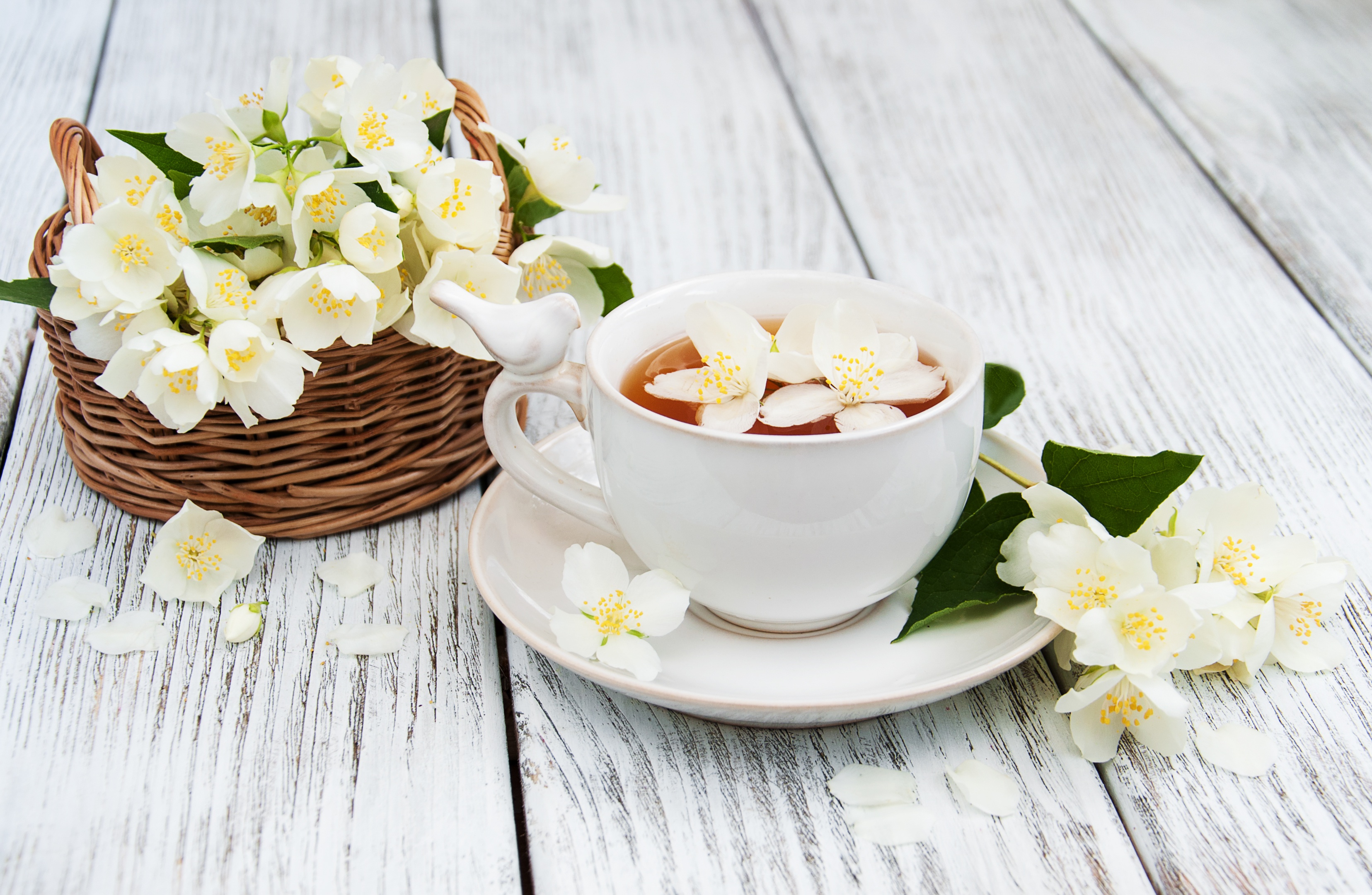 Handy-Wallpaper Blume, Tasse, Tee, Weiße Blume, Nahrungsmittel, Stillleben, Getränk, Tess kostenlos herunterladen.