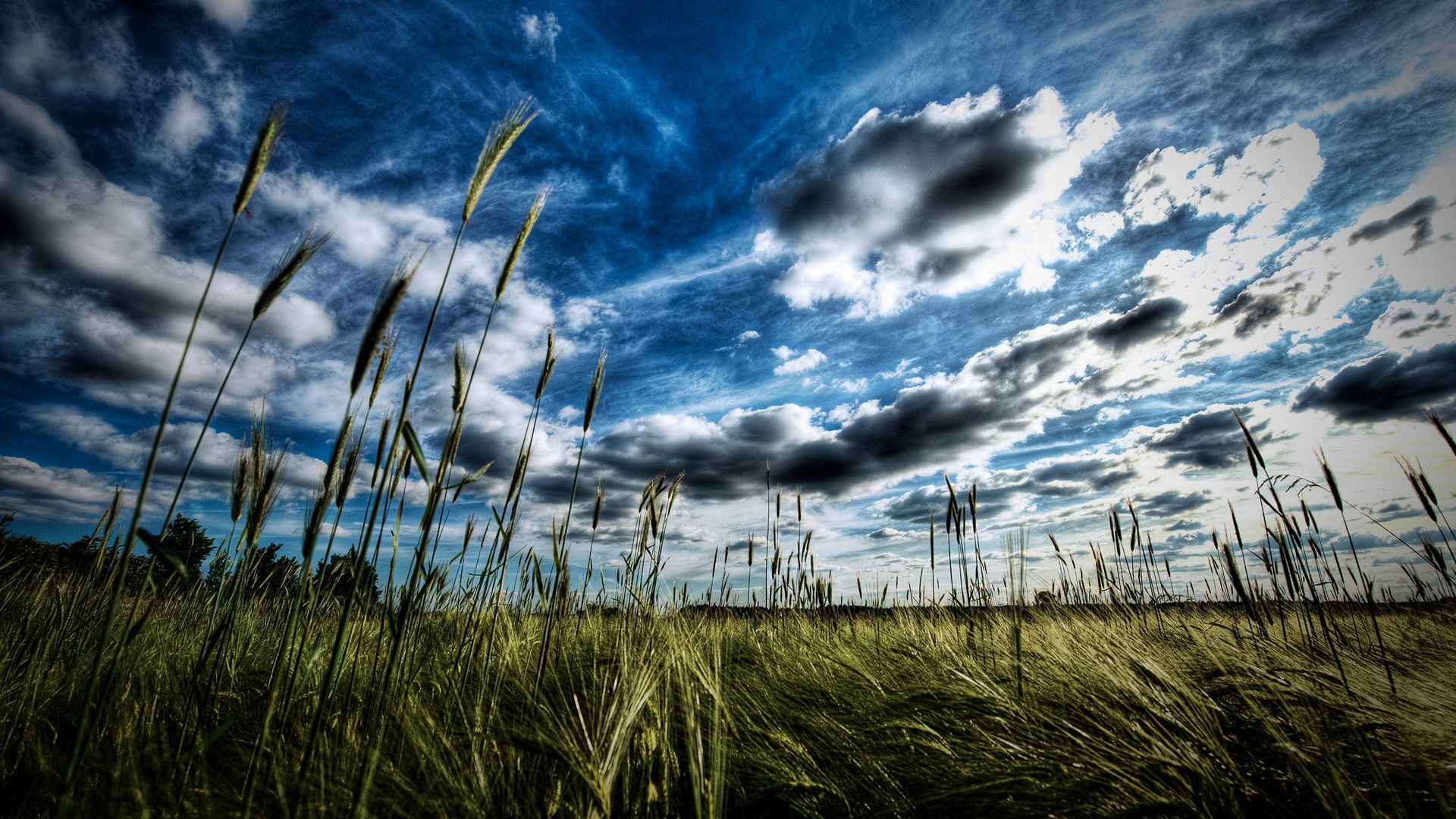 Handy-Wallpaper Feld, Erde/natur kostenlos herunterladen.