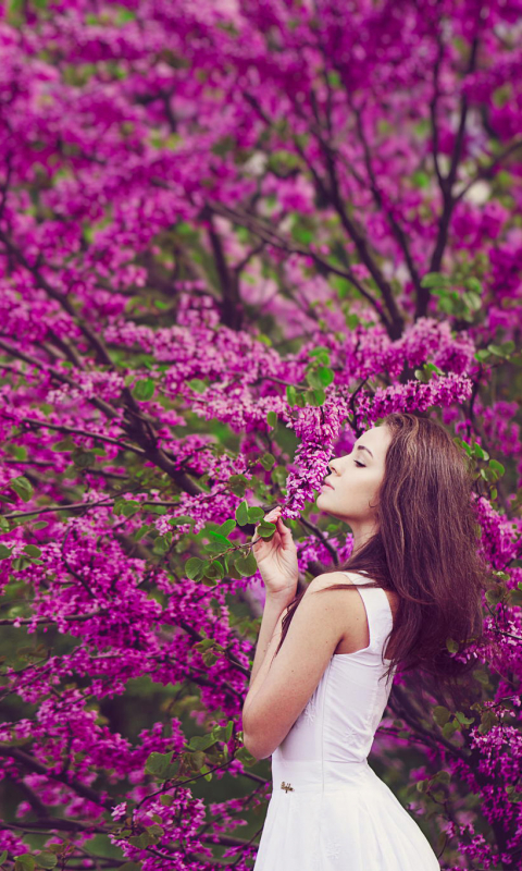 Download mobile wallpaper Mood, Brunette, Model, Women, Blossom, Pink Flower, White Dress for free.