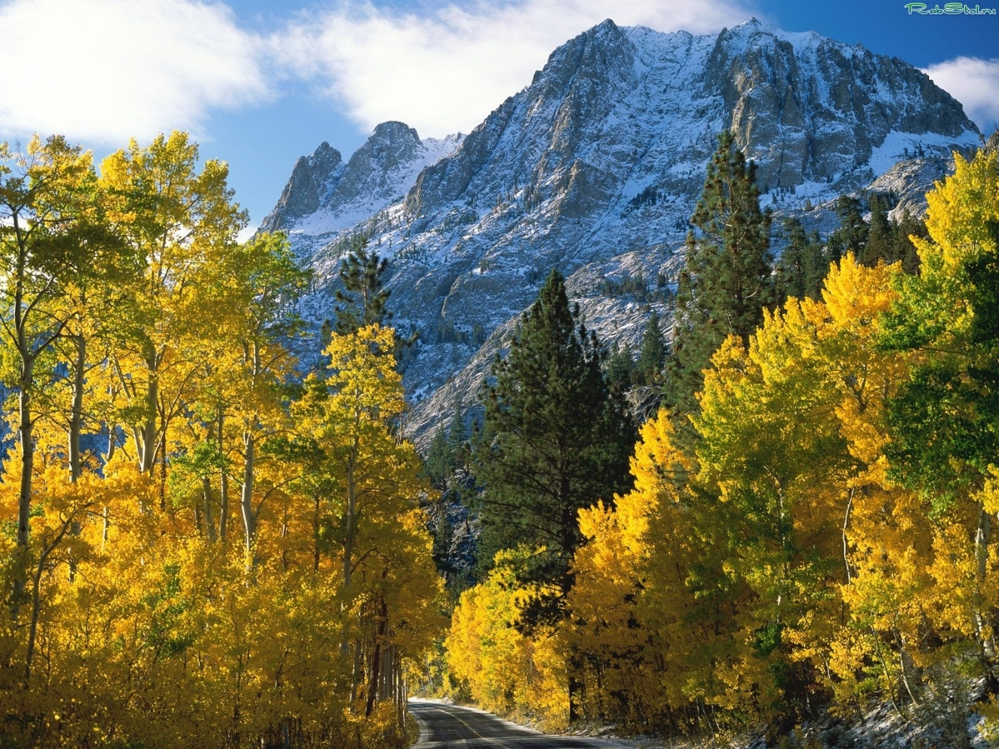 Handy-Wallpaper Bäume, Mountains, Landschaft, Herbst kostenlos herunterladen.