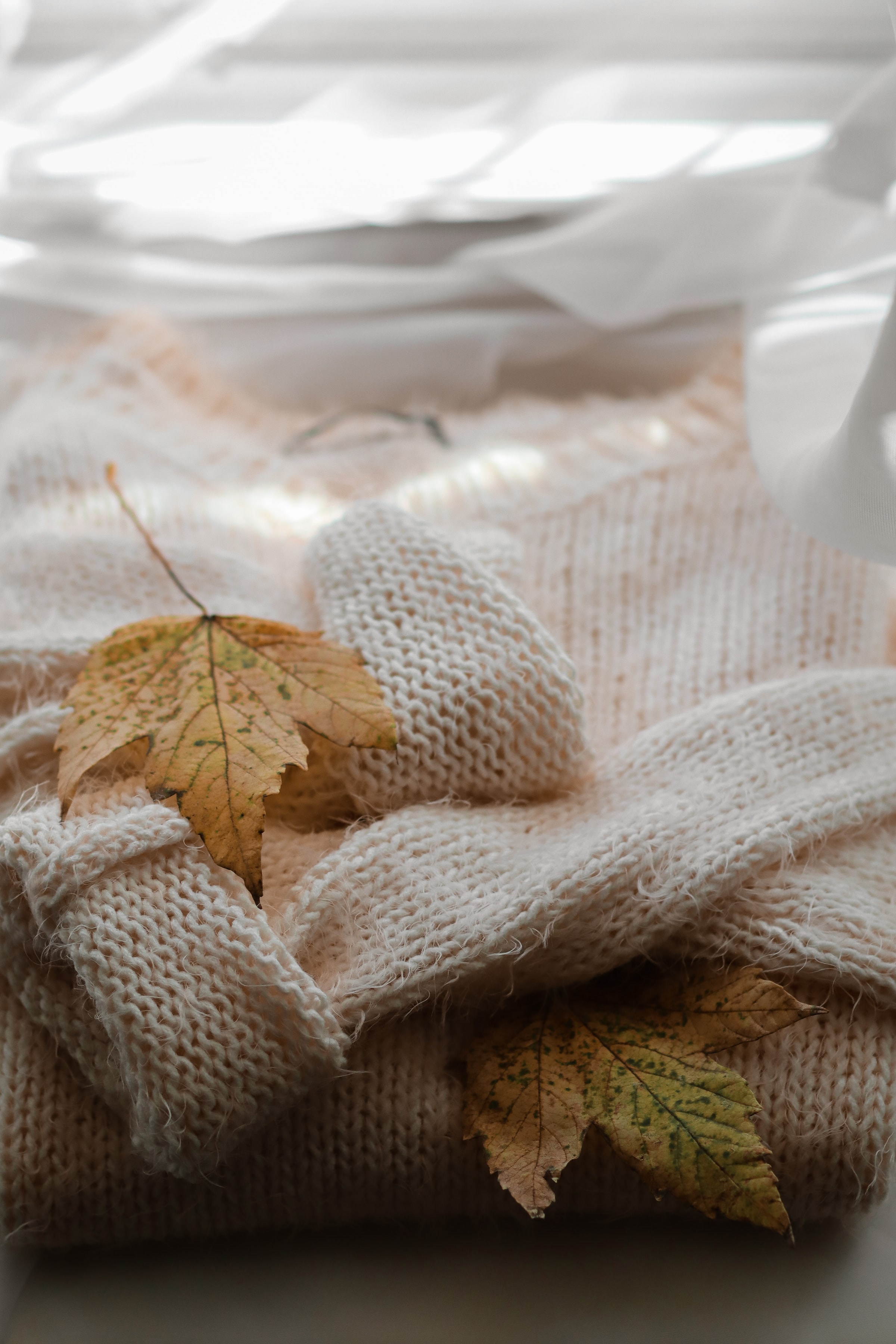 Free download wallpaper Autumn, Miscellaneous, Sheet, Leaf, Sweater, Miscellanea, Maple on your PC desktop